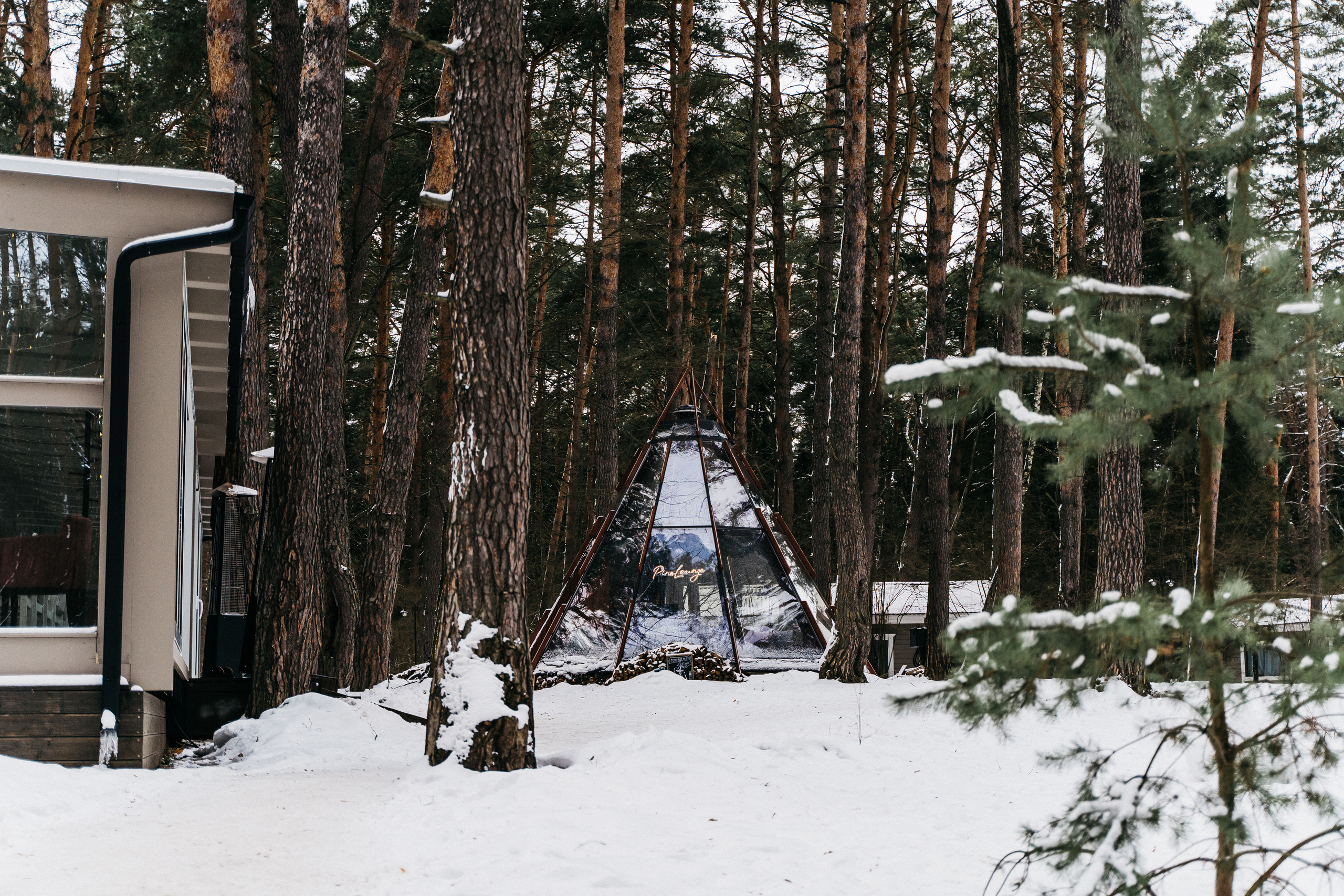 Атмосфера в Pineriver (зима/лето). Фото и видео для бизнеса Обнинск, Калуга, Москва