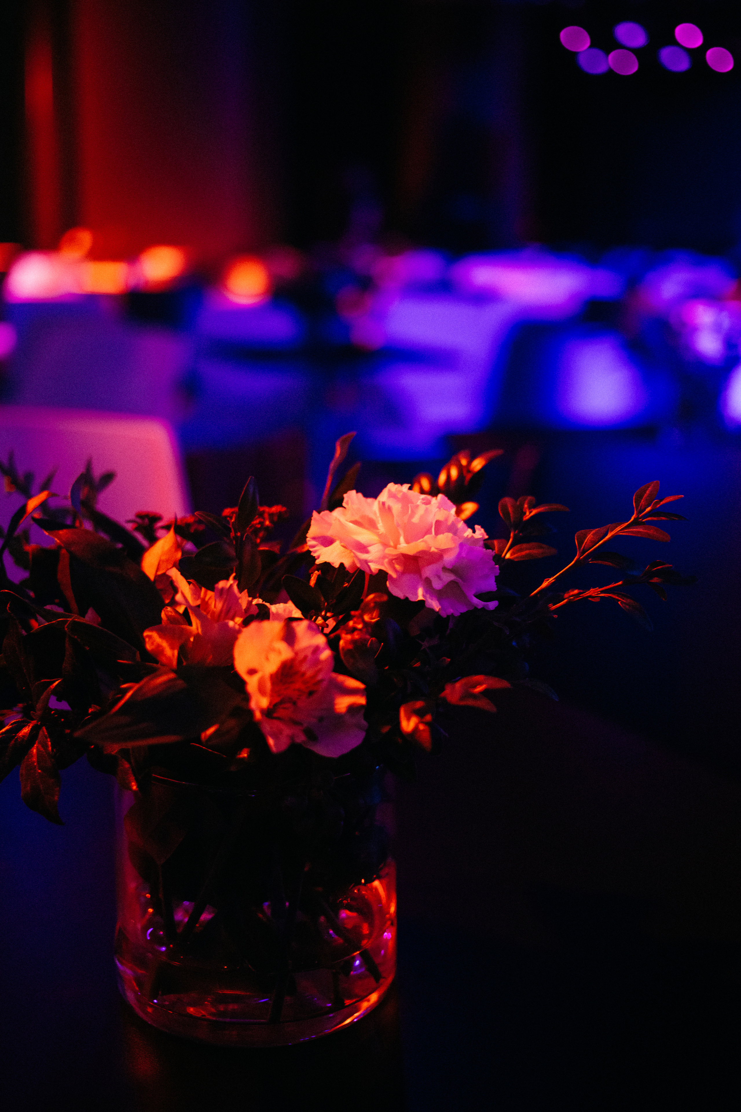 ПРОТЕК новая высота. Фото и видео для бизнеса Обнинск, Калуга, Москва