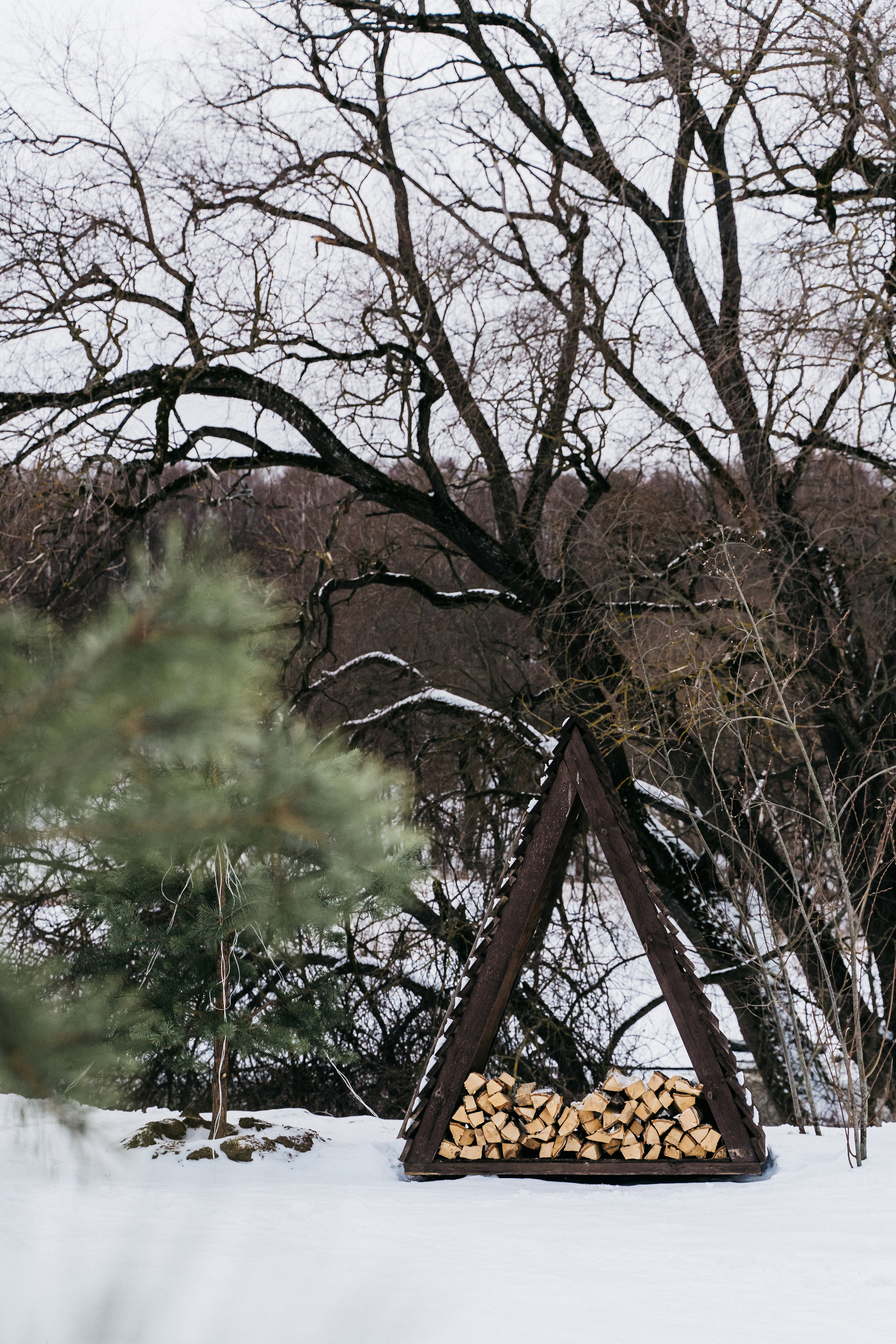 Атмосфера в Pineriver (зима/лето). Фото и видео для бизнеса Обнинск, Калуга, Москва