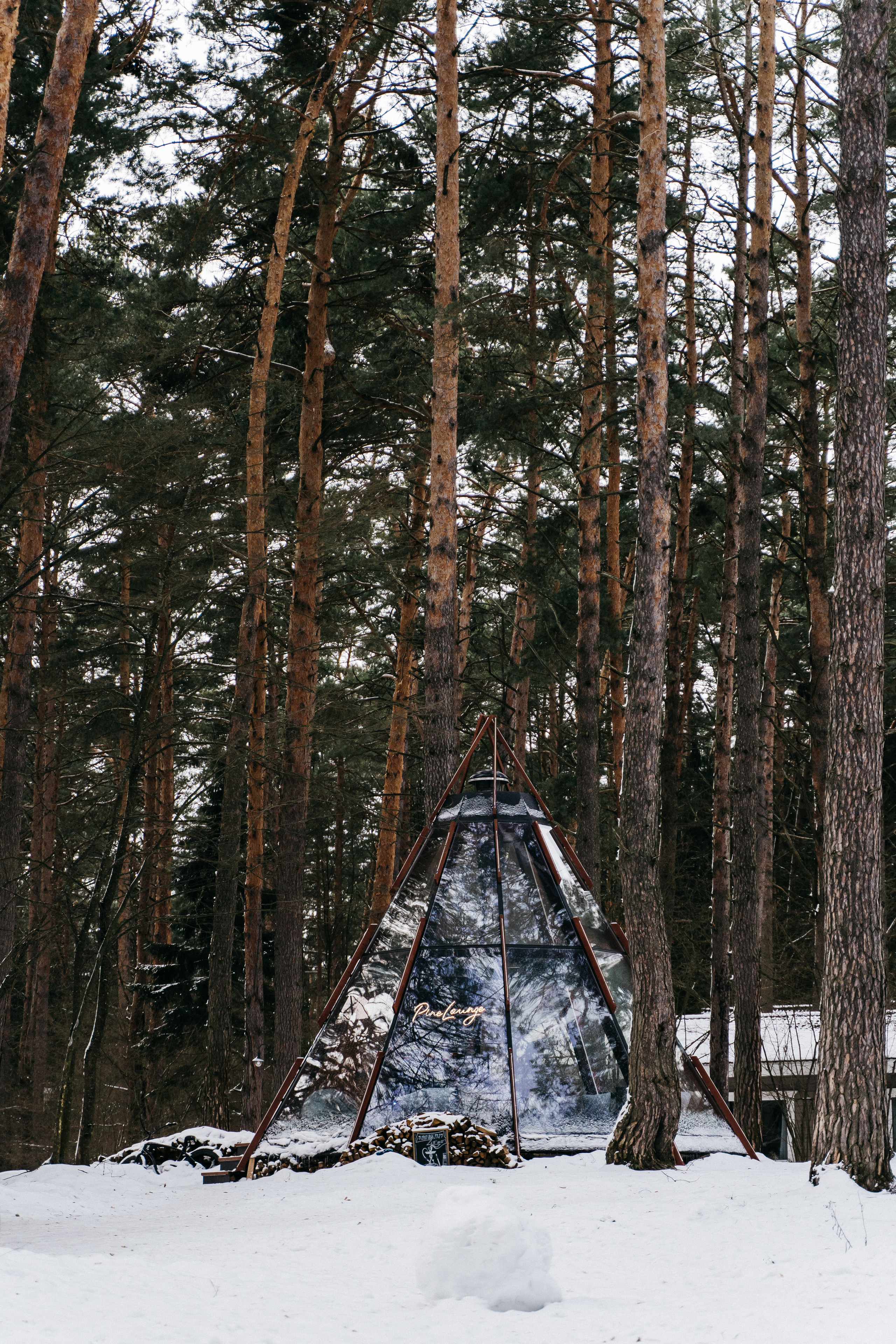 Атмосфера в Pineriver (зима/лето). Фото и видео для бизнеса Обнинск, Калуга, Москва