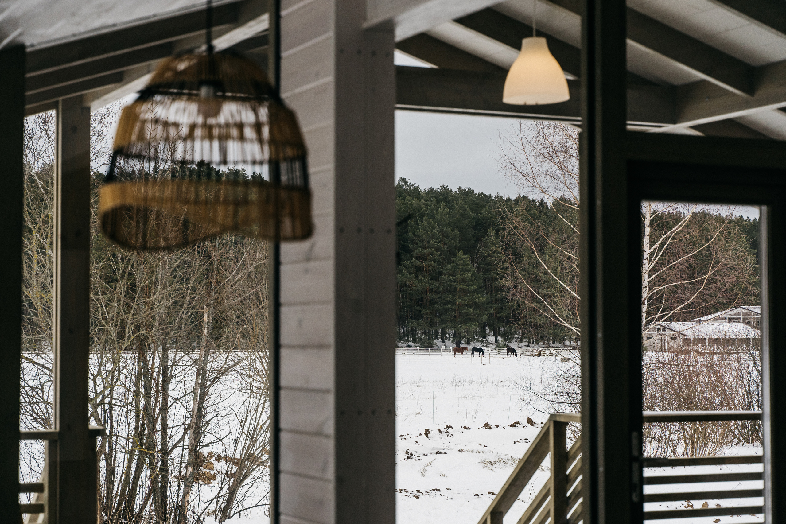 Атмосфера в Pineriver (зима/лето). Фото и видео для бизнеса Обнинск, Калуга, Москва