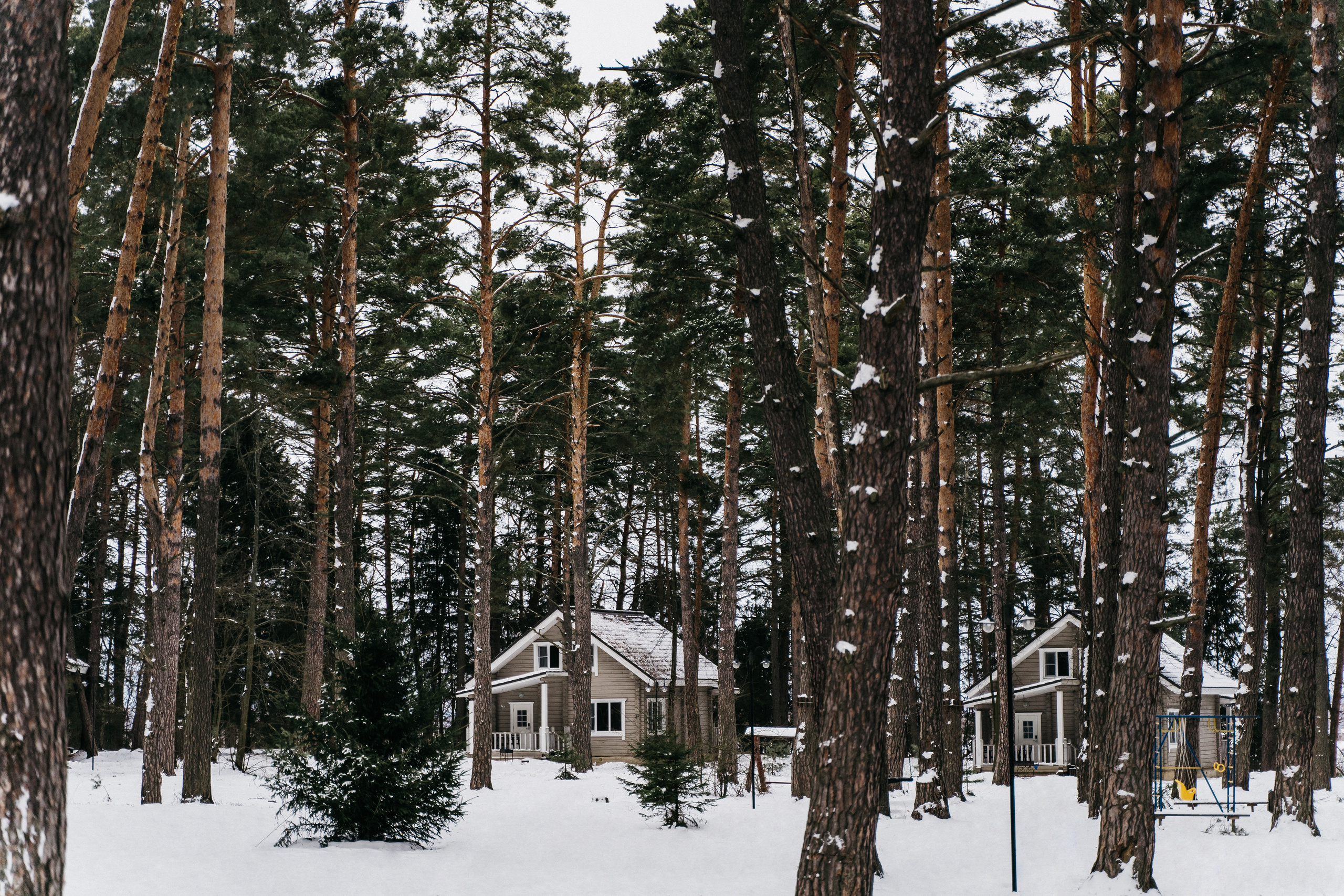 Атмосфера в Pineriver (зима/лето). Фото и видео для бизнеса Обнинск, Калуга, Москва