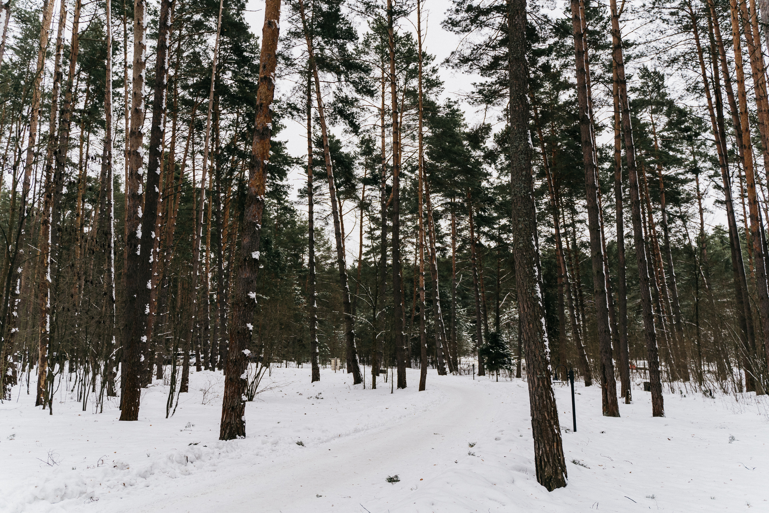 Атмосфера в Pineriver (зима/лето). Фото и видео для бизнеса Обнинск, Калуга, Москва