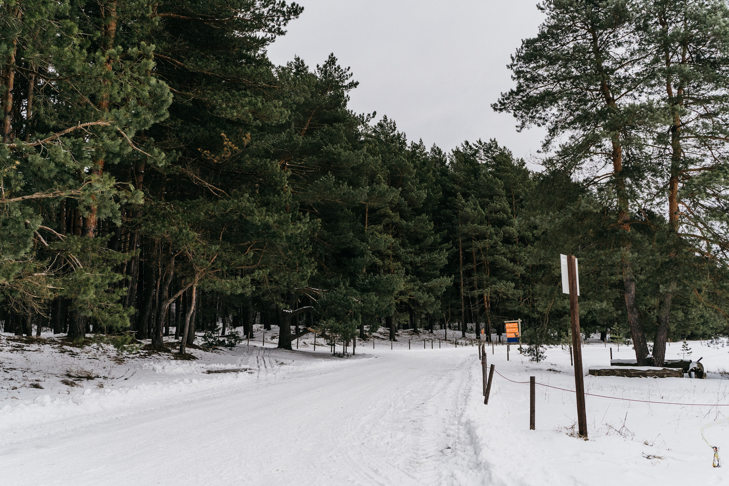 Атмосфера в Pineriver (зима/лето). Фото и видео для бизнеса Обнинск, Калуга, Москва