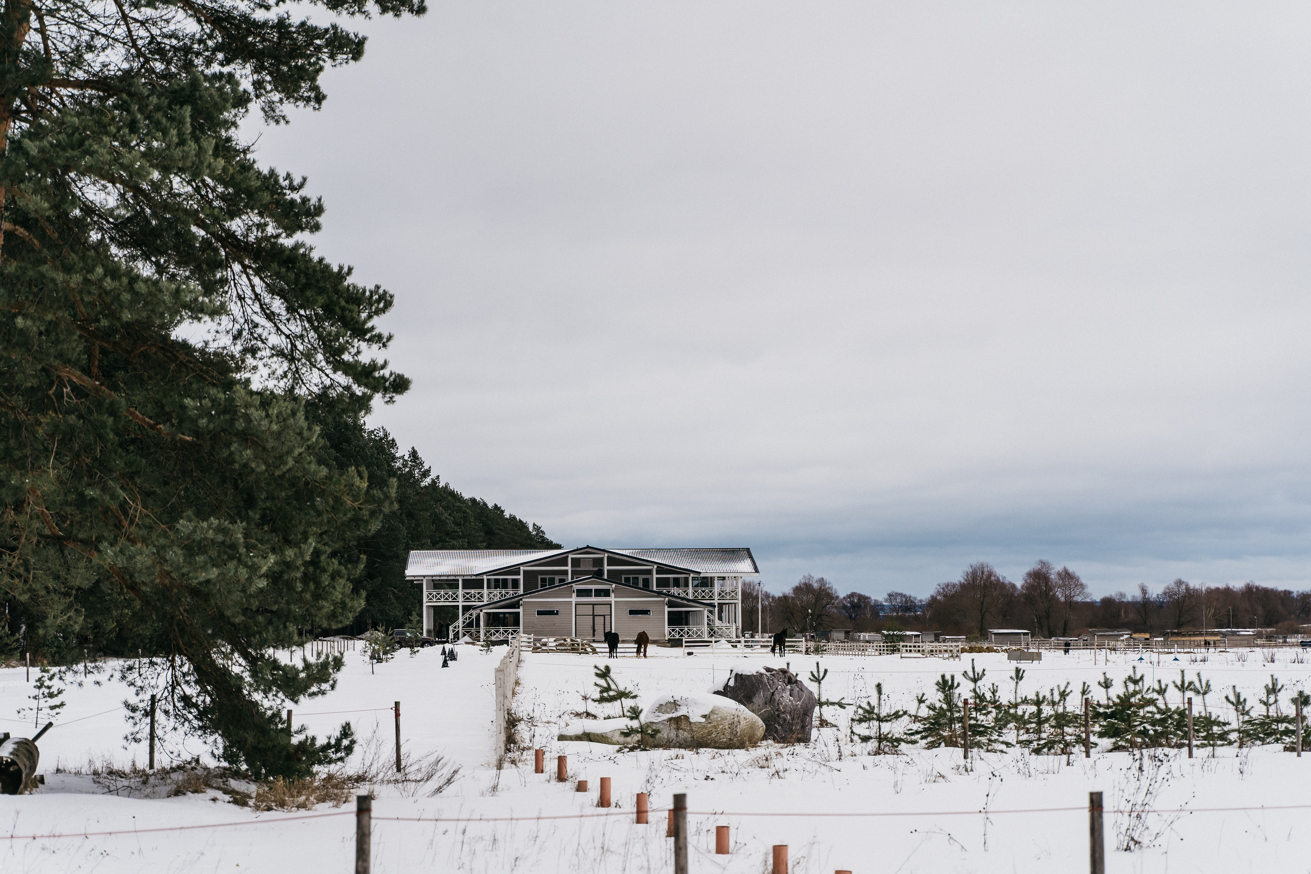Атмосфера в Pineriver (зима/лето). Фото и видео для бизнеса Обнинск, Калуга, Москва