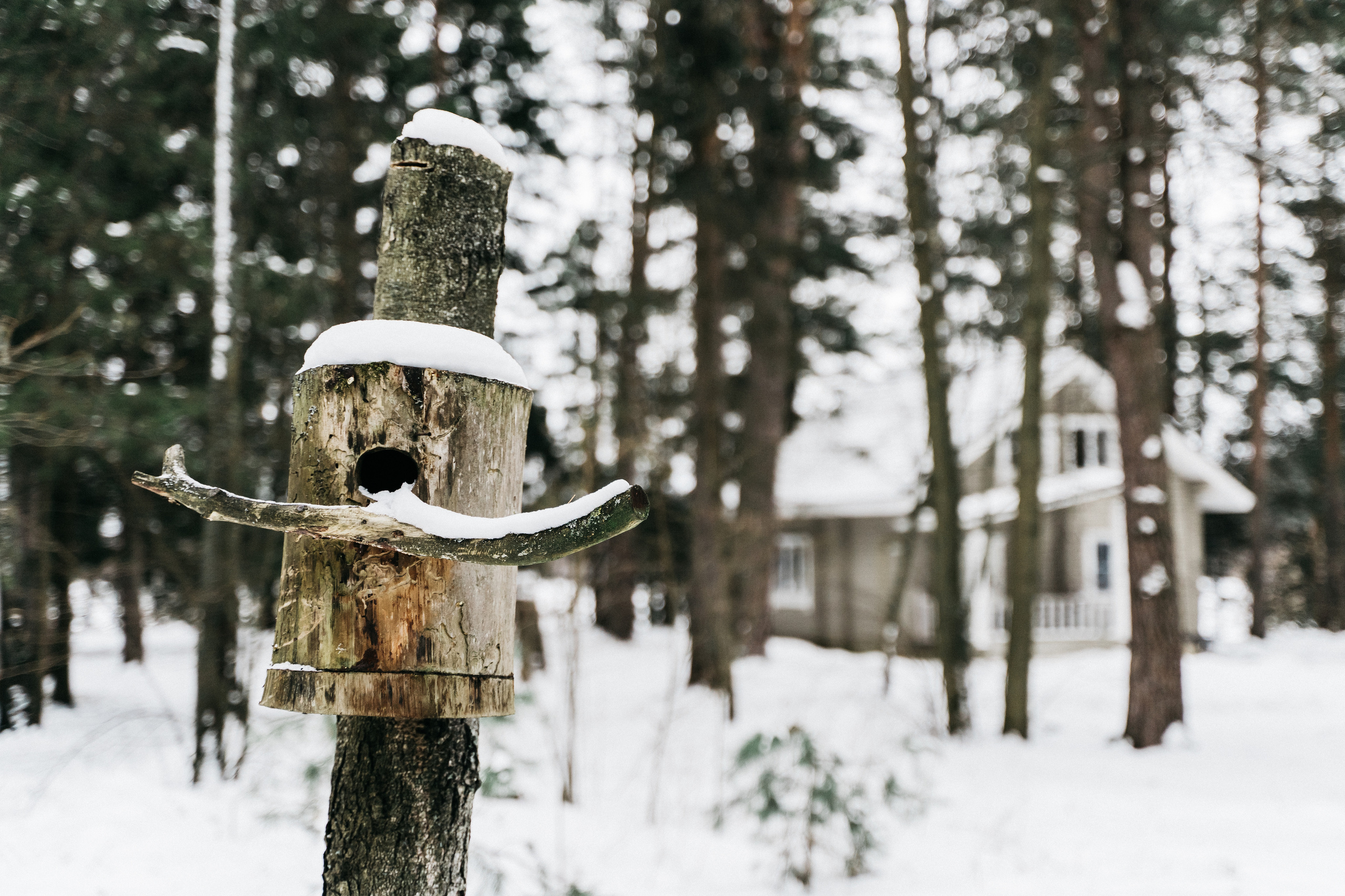 Атмосфера в Pineriver (зима/лето). Фото и видео для бизнеса Обнинск, Калуга, Москва