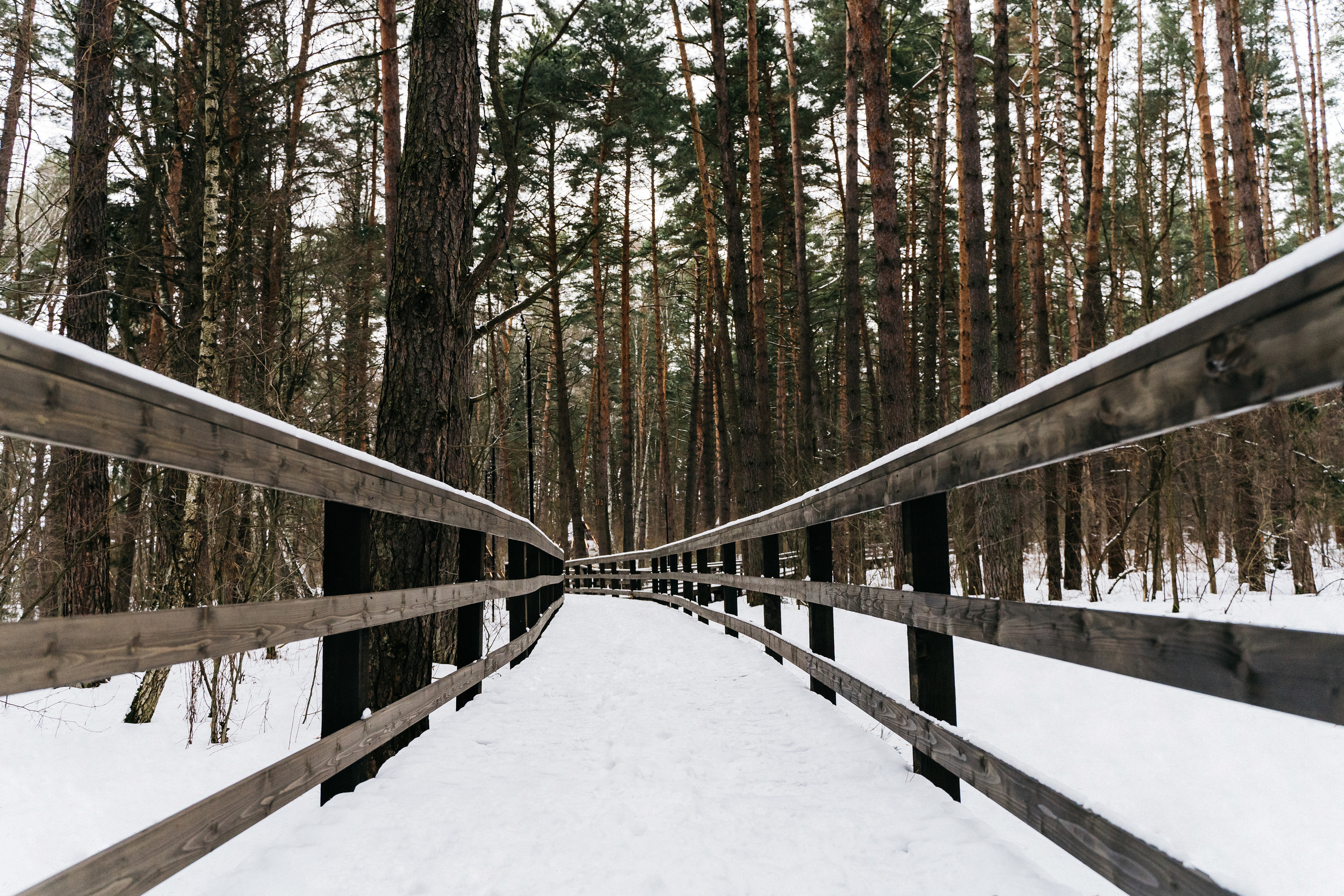 Атмосфера в Pineriver (зима/лето). Фото и видео для бизнеса Обнинск, Калуга, Москва