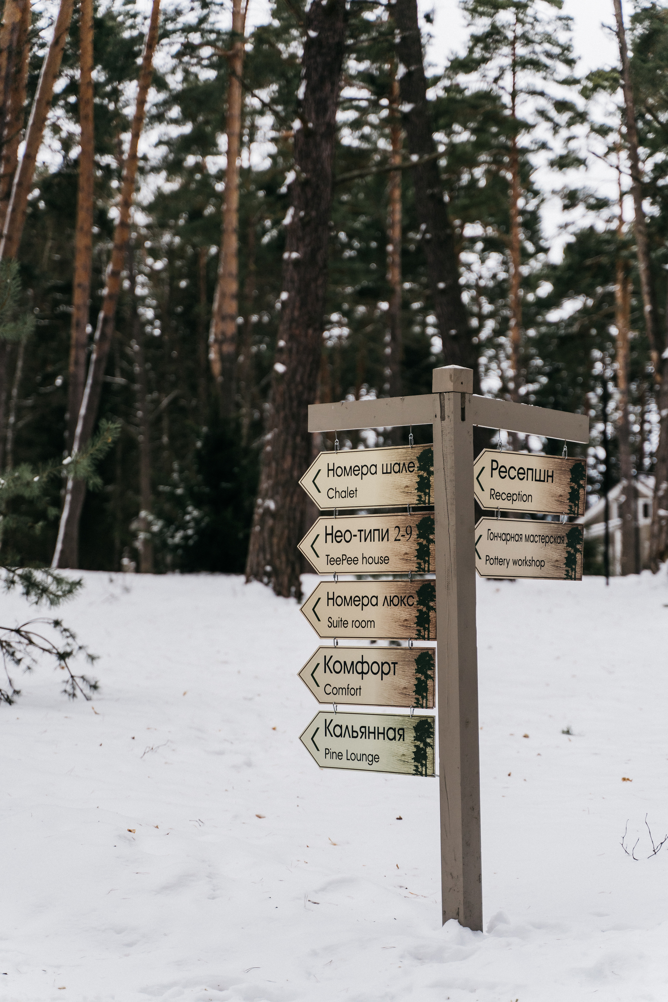Атмосфера в Pineriver (зима/лето). Фото и видео для бизнеса Обнинск, Калуга, Москва