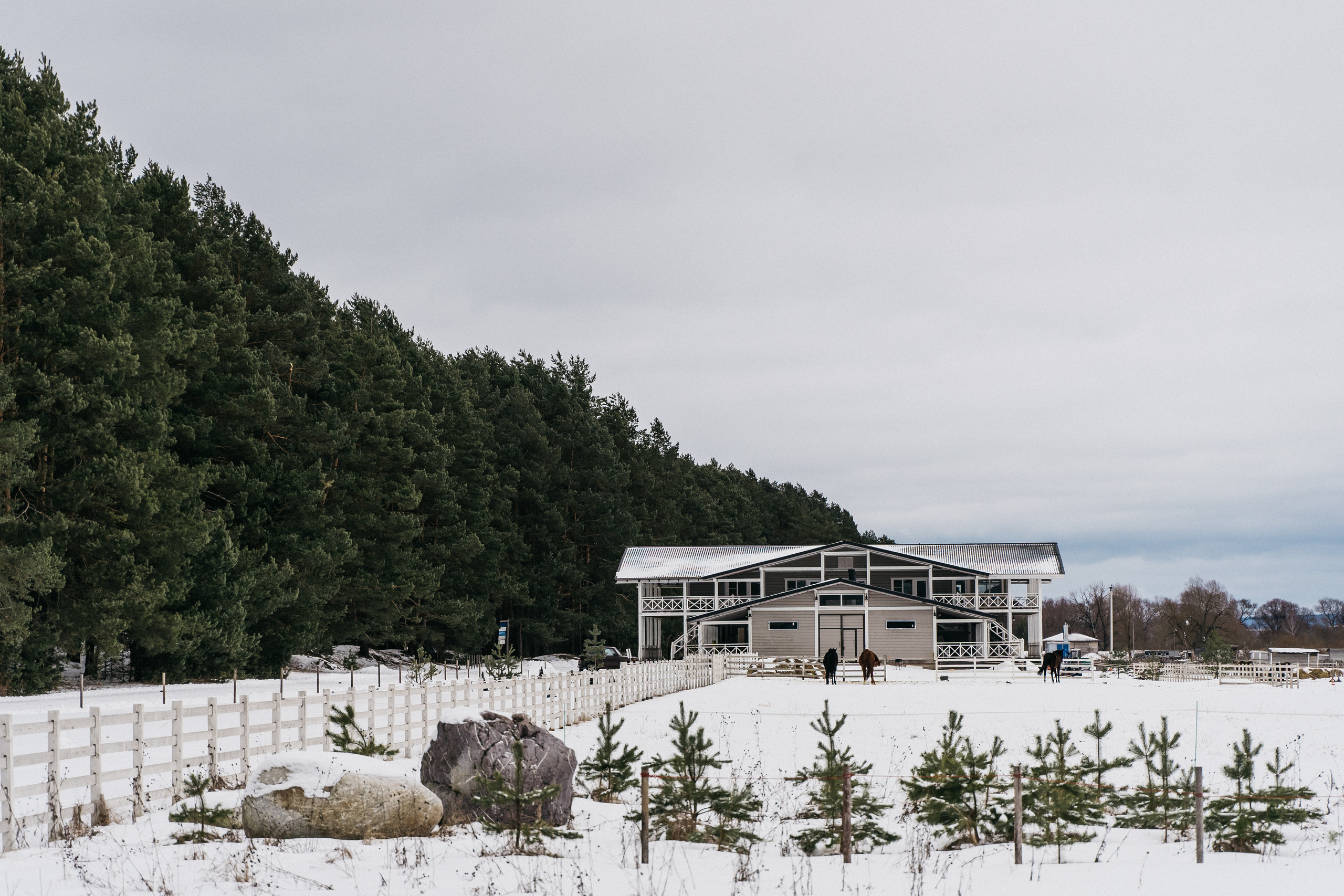 Атмосфера в Pineriver (зима/лето). Фото и видео для бизнеса Обнинск, Калуга, Москва