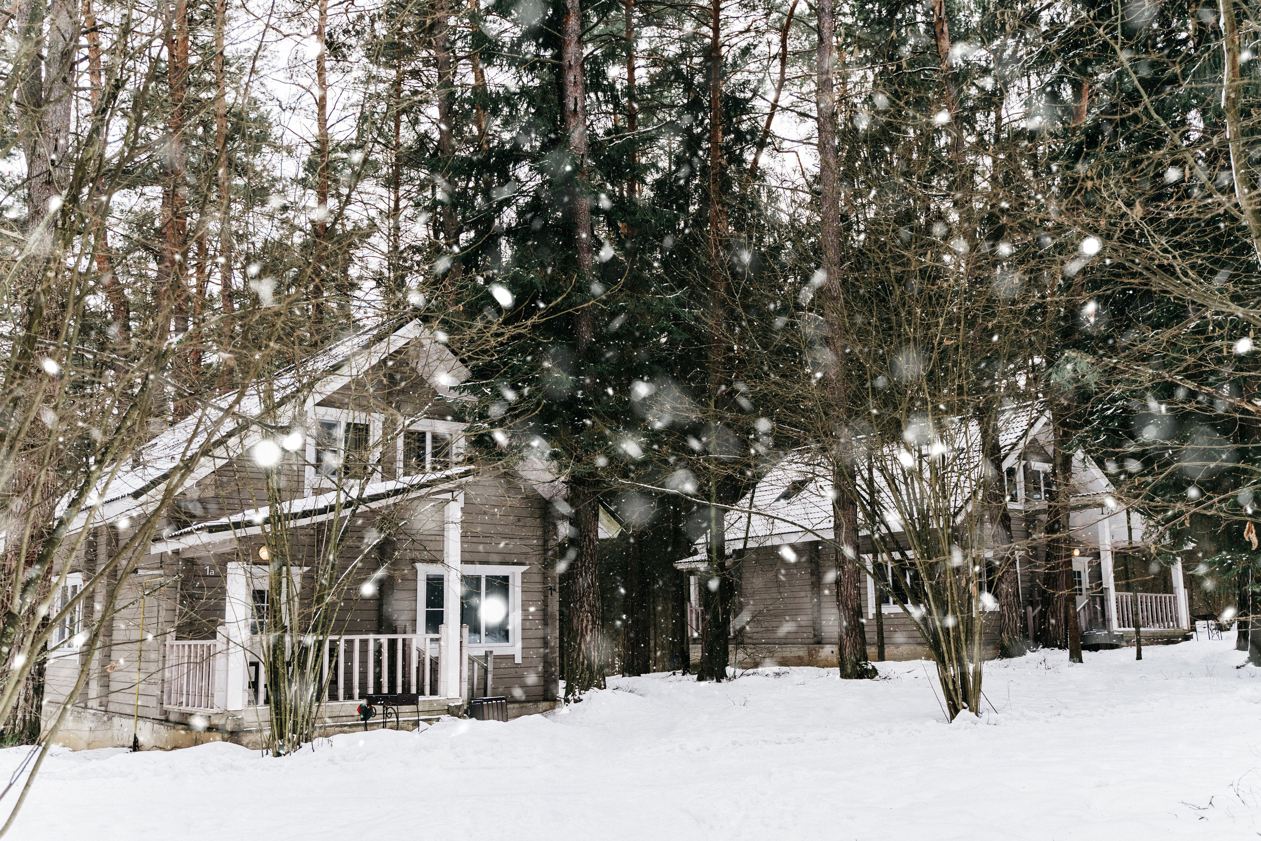 Атмосфера в Pineriver (зима/лето). Фото и видео для бизнеса Обнинск, Калуга, Москва