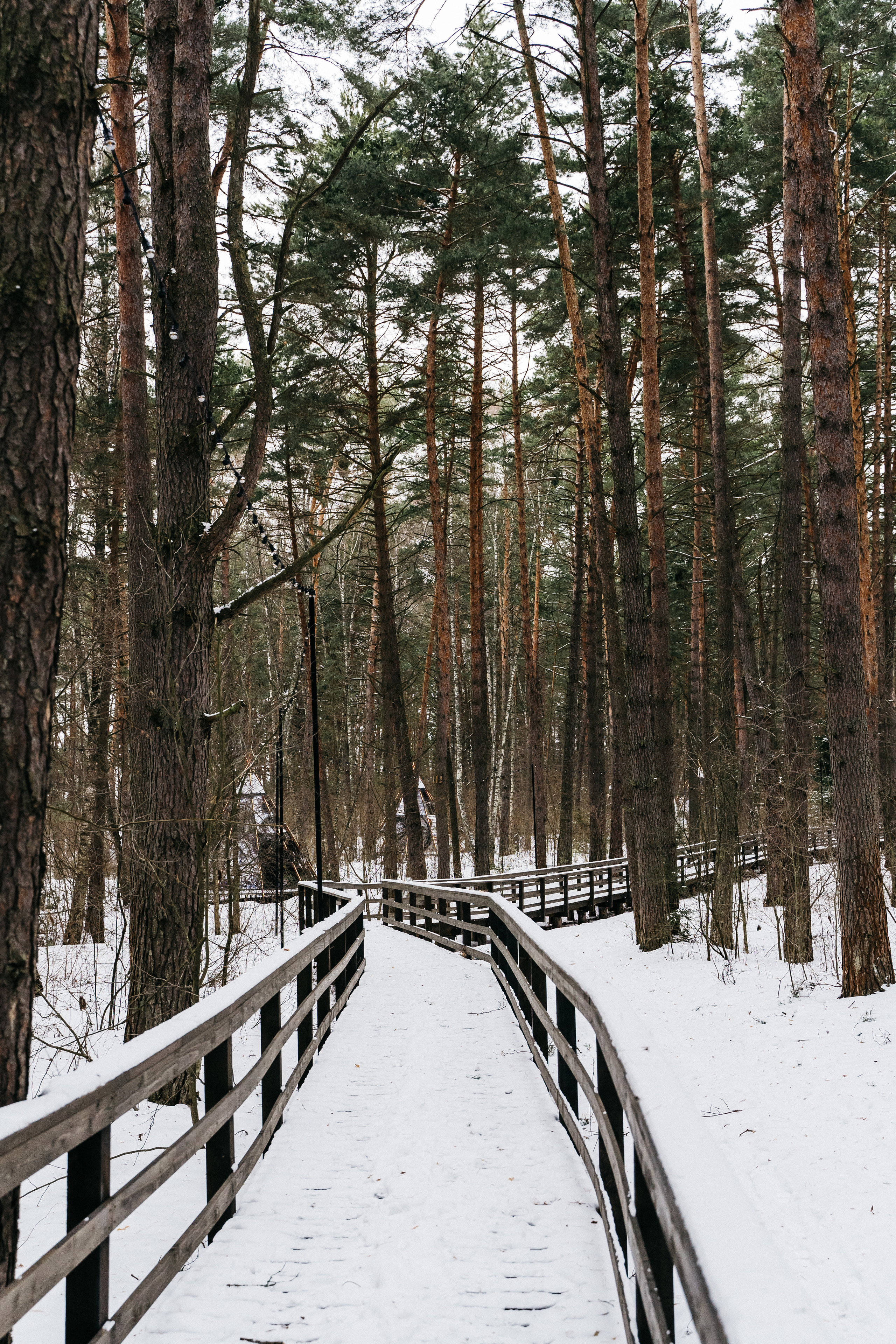 Атмосфера в Pineriver (зима/лето). Фото и видео для бизнеса Обнинск, Калуга, Москва