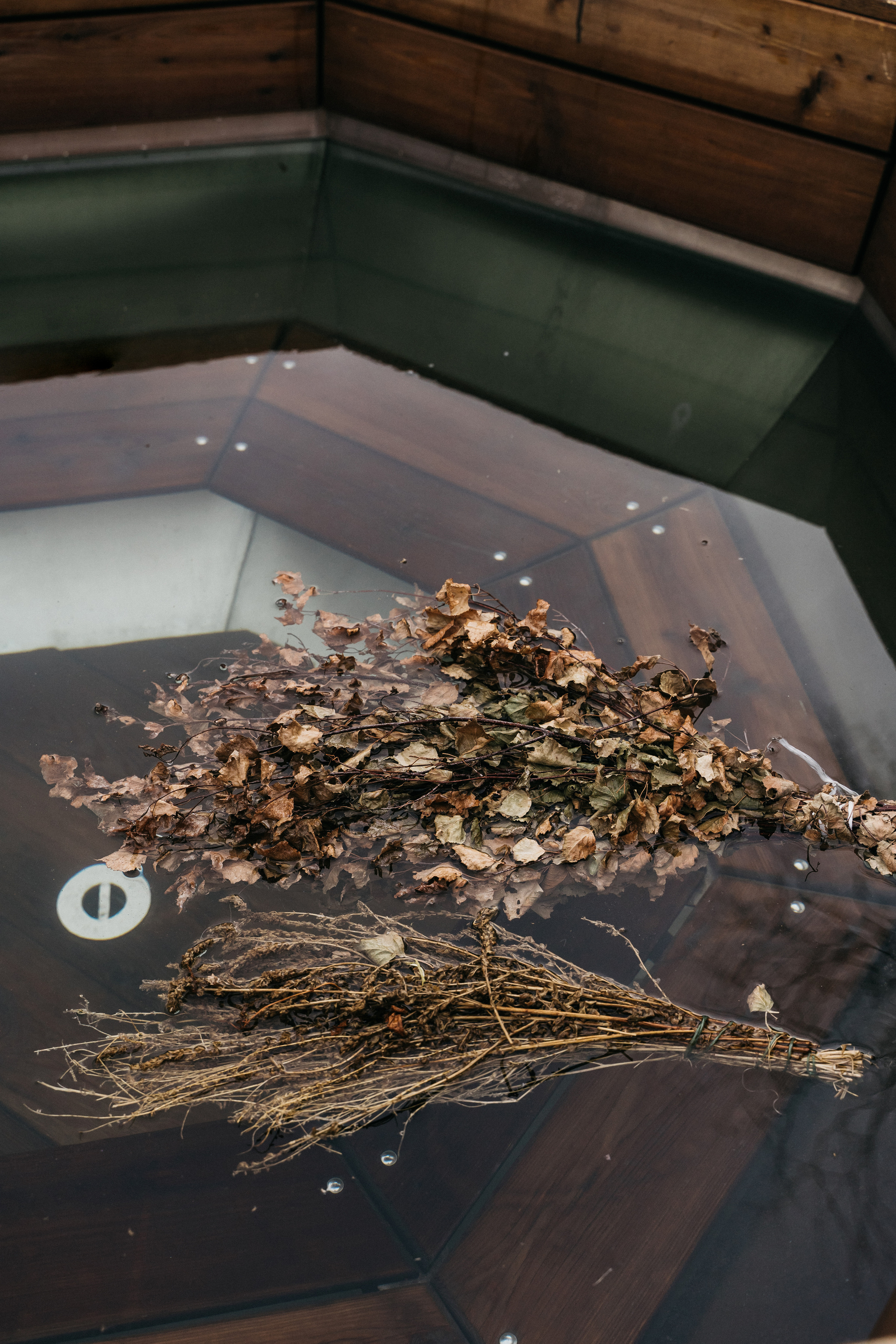 Атмосфера в Pineriver (зима/лето). Фото и видео для бизнеса Обнинск, Калуга, Москва