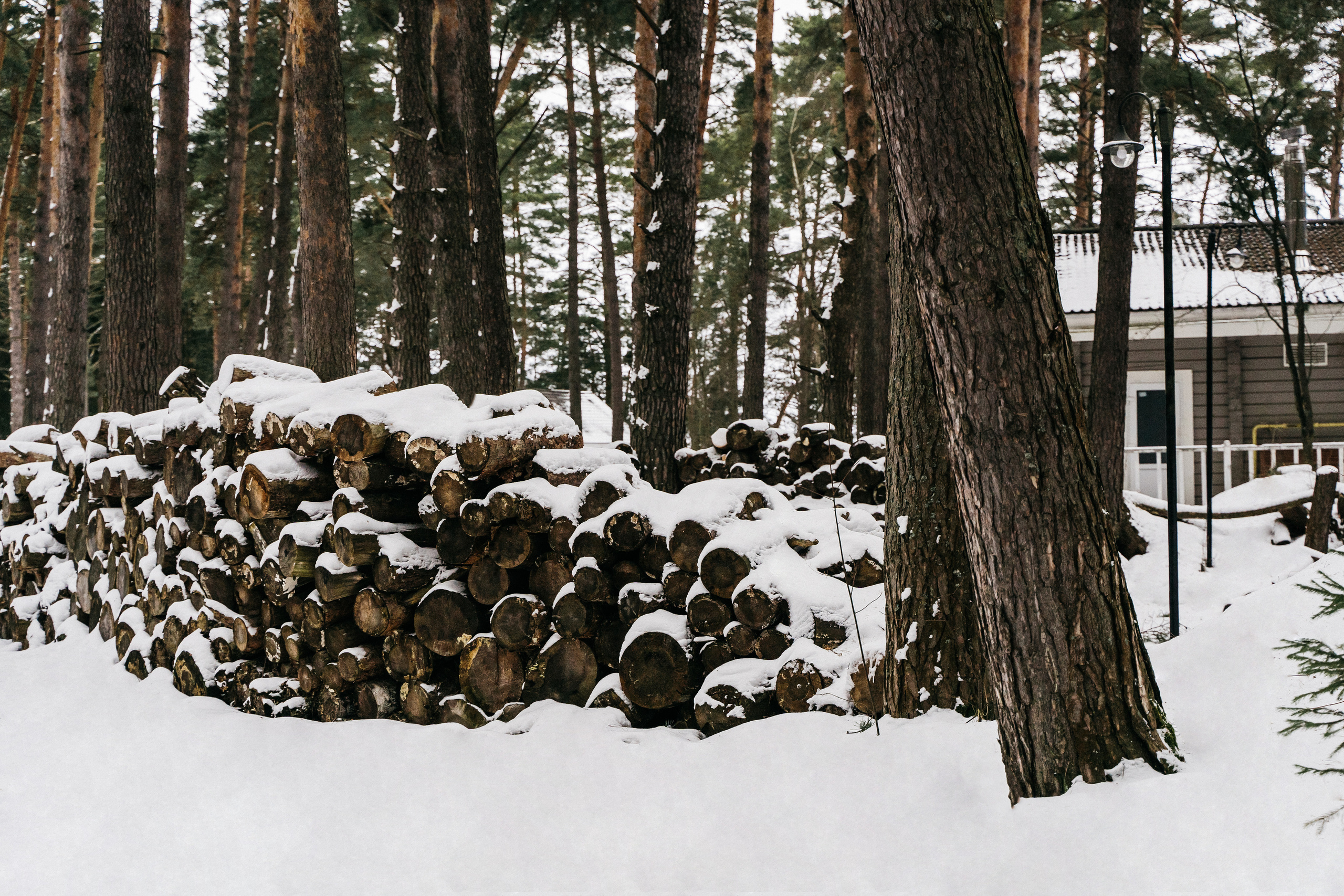 Атмосфера в Pineriver (зима/лето). Фото и видео для бизнеса Обнинск, Калуга, Москва