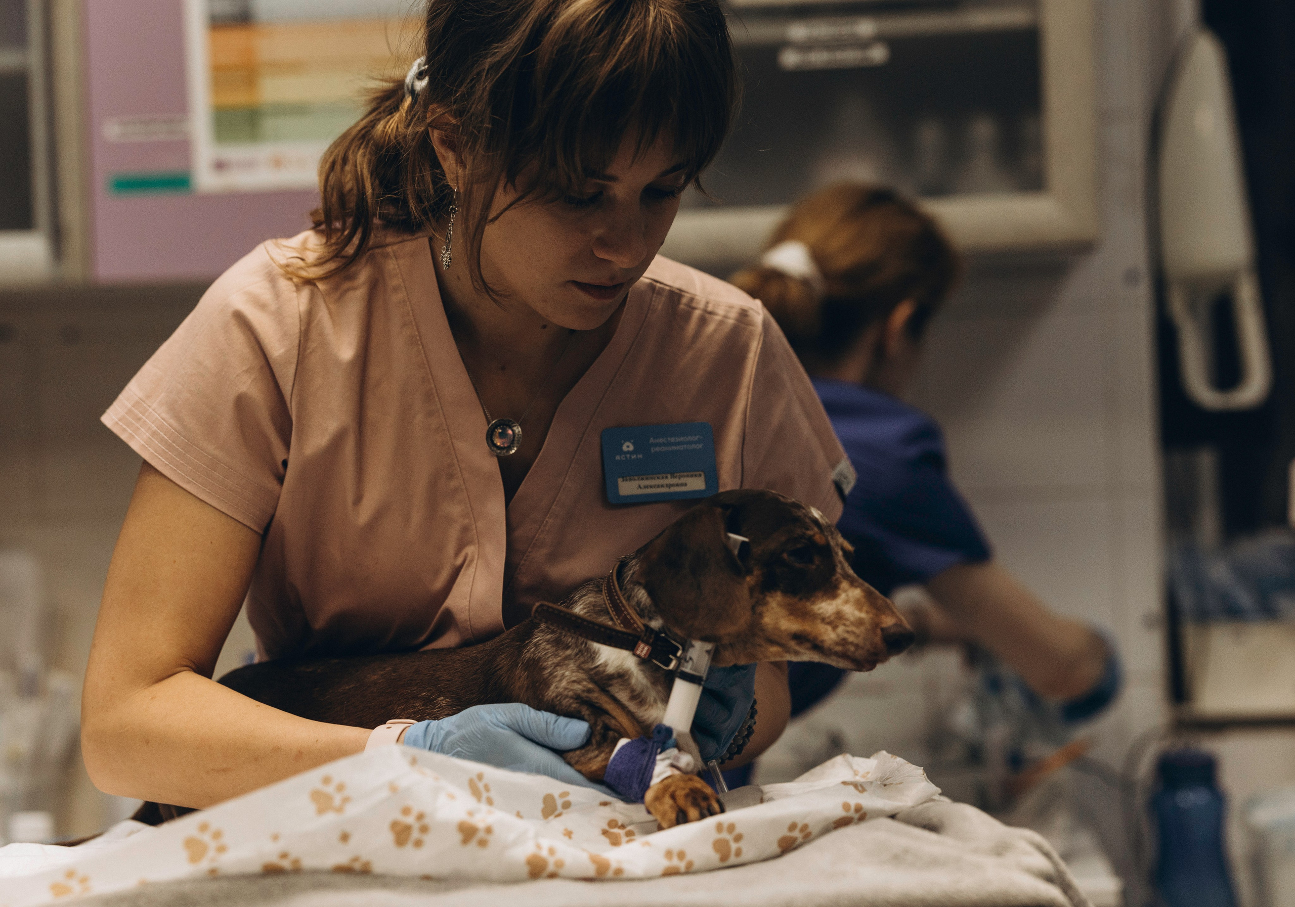 VetLife. Татьяна Афонина | Фотограф