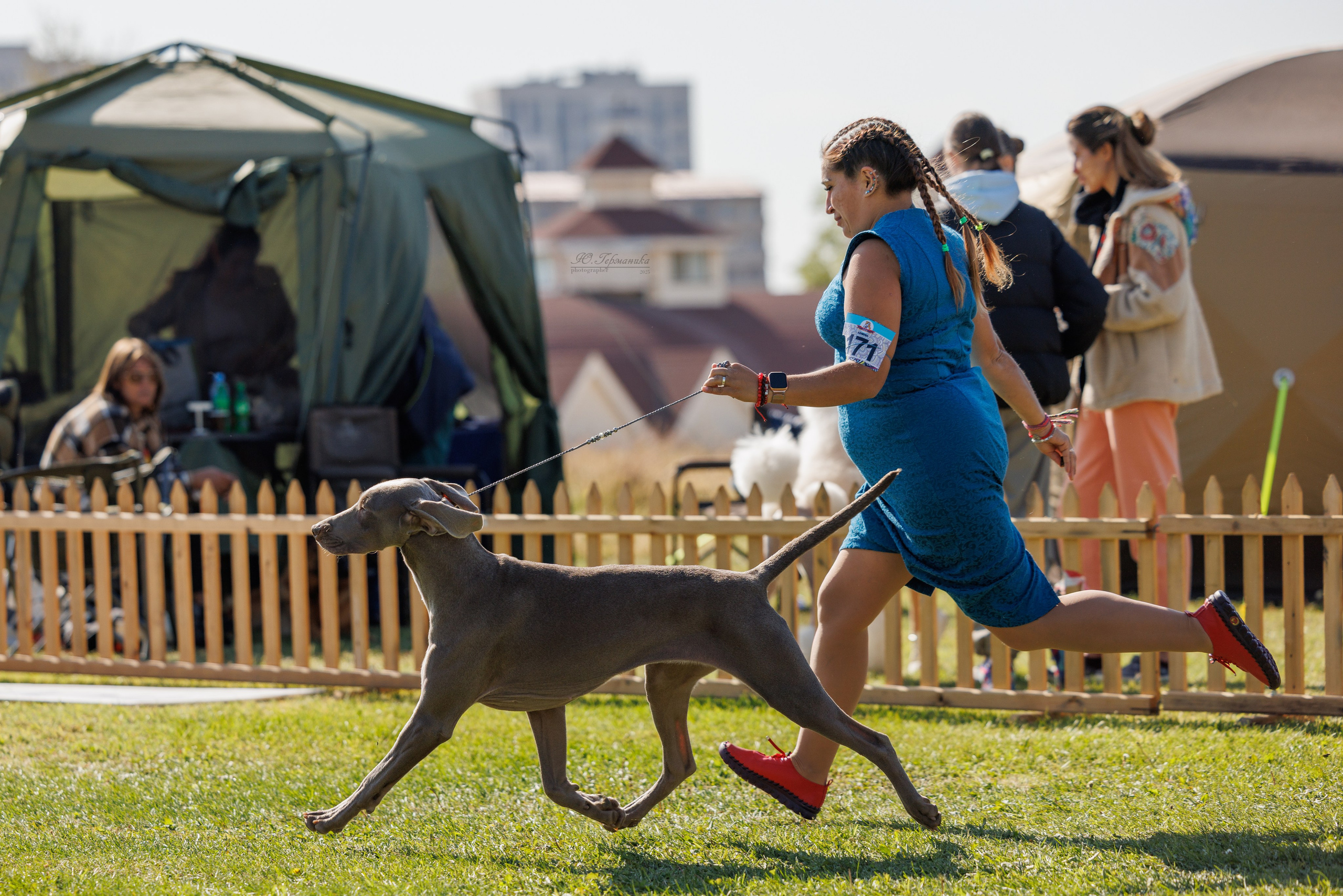 Ереван 14-16.10.2025. Фотограф-анималист Юлия Германика