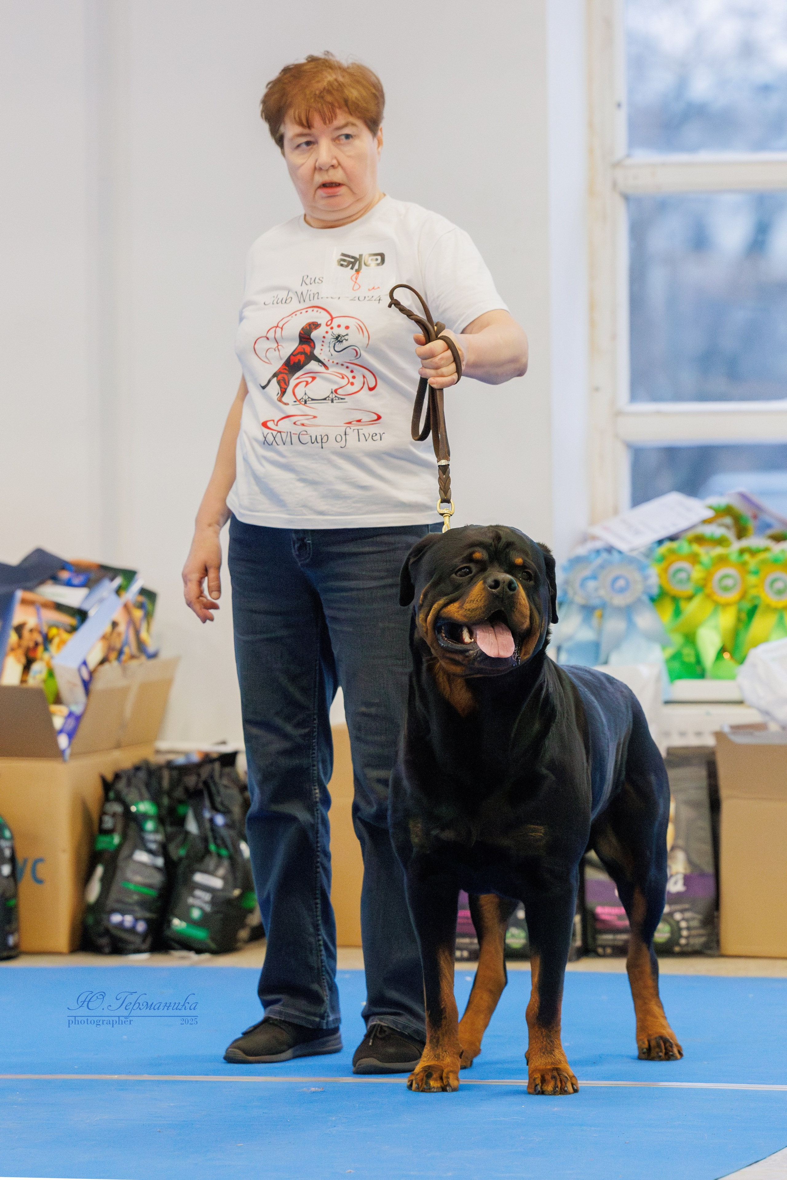 Питер ротвейлеры 18.01,Крокус 19.01.2025. Фотограф-анималист Юлия Германика