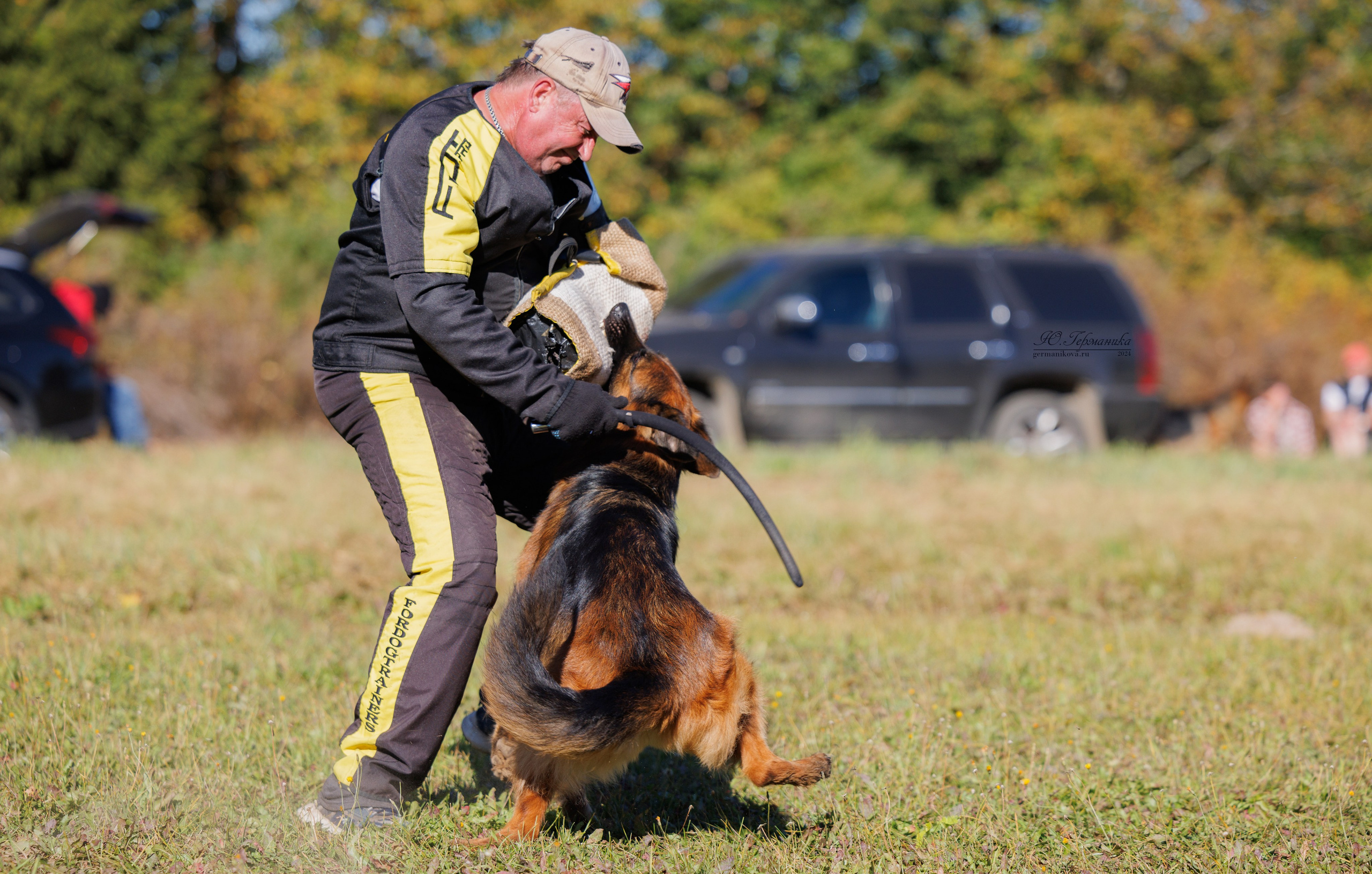 Тверь немецкие овчарки 22.09.2024. Фотограф-анималист Юлия Германика