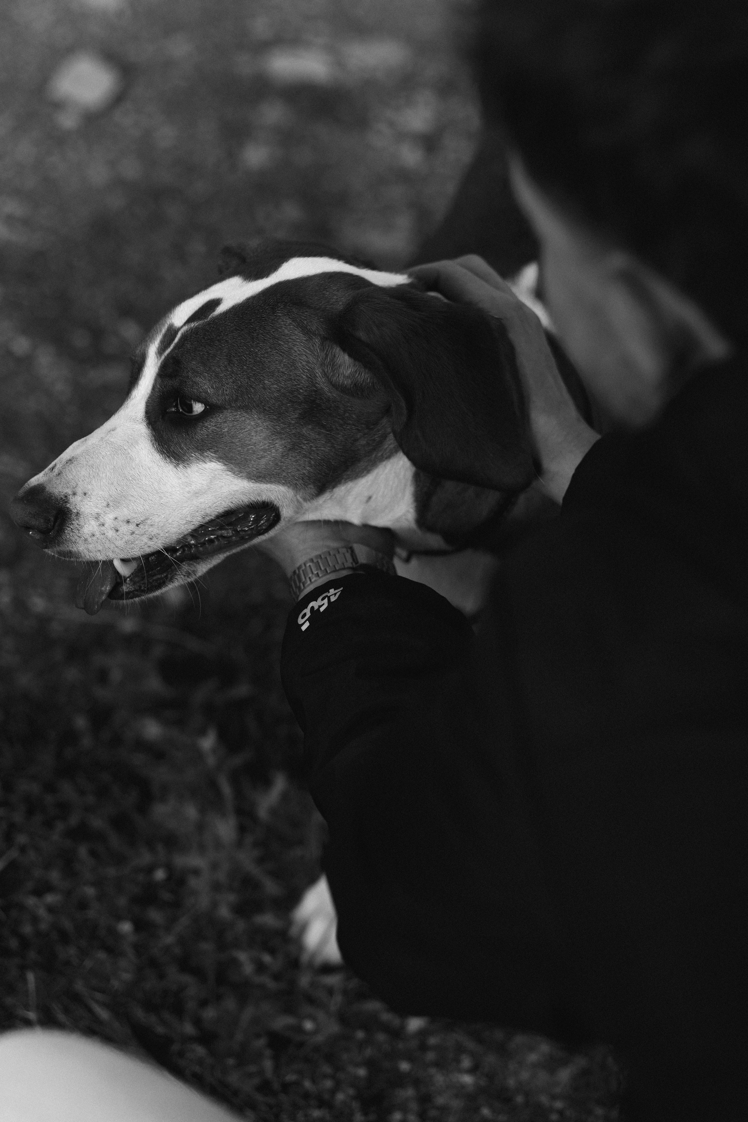 Twiligth. Gerasko Aleks — Портрет, кричащий тишиной