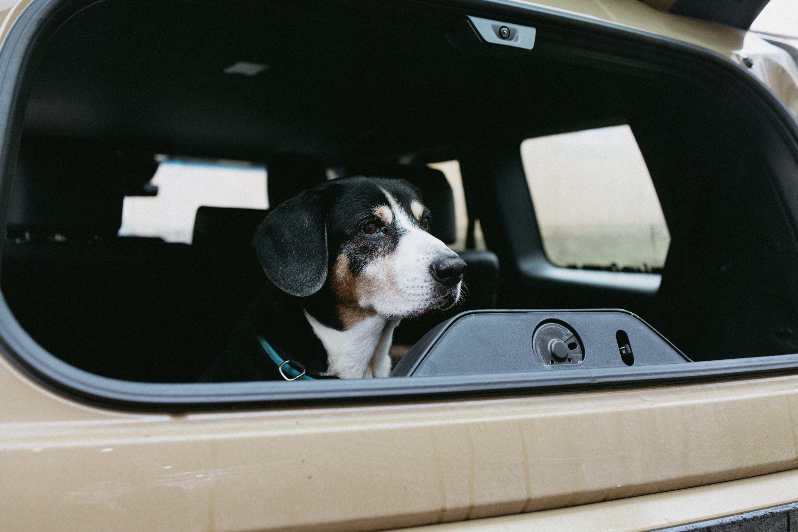 Новые земли. Про любовь