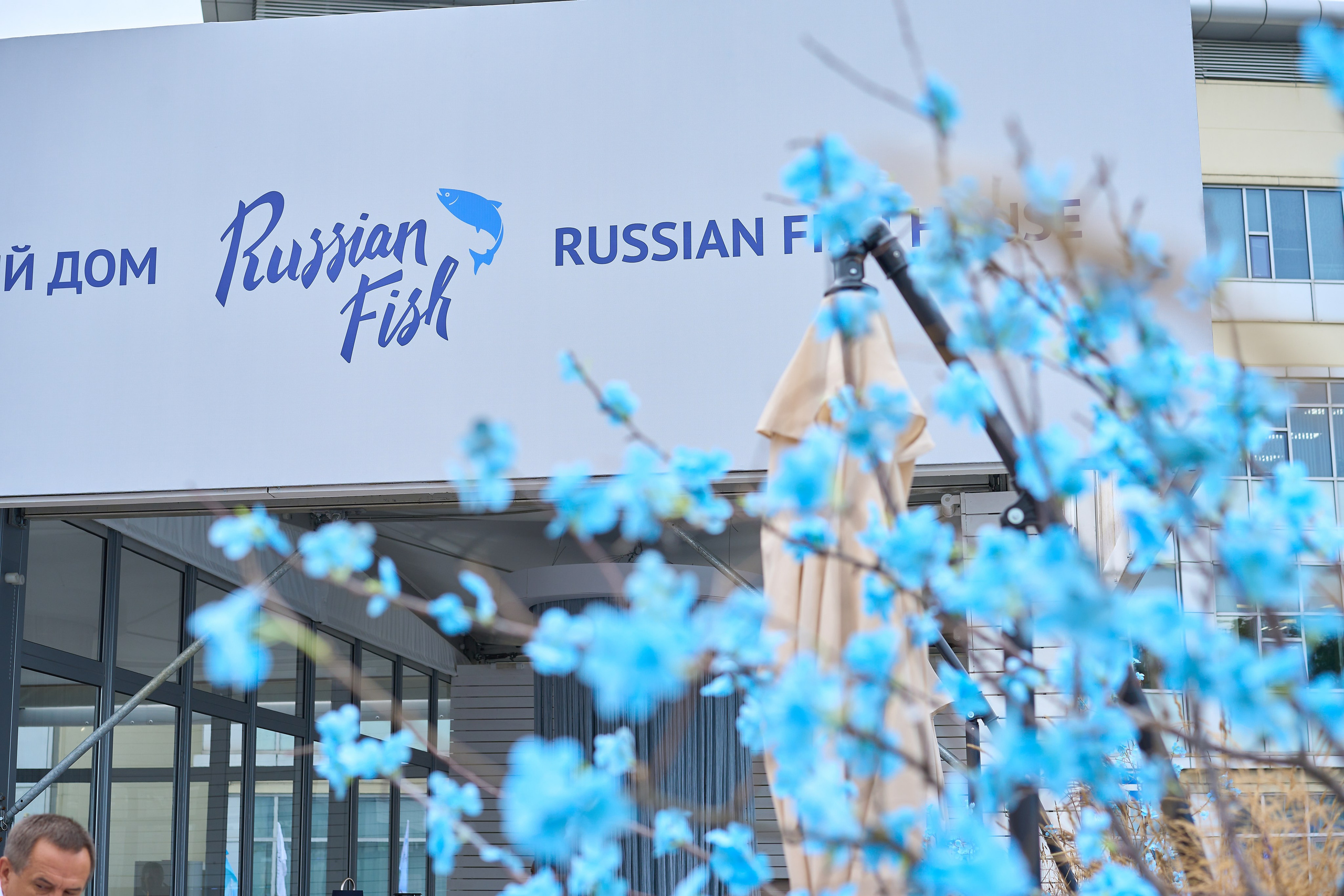 Репортаж ВЭФ. Алексей Романов фотограф Санкт-Петербург, фотокурсы, фотошкола