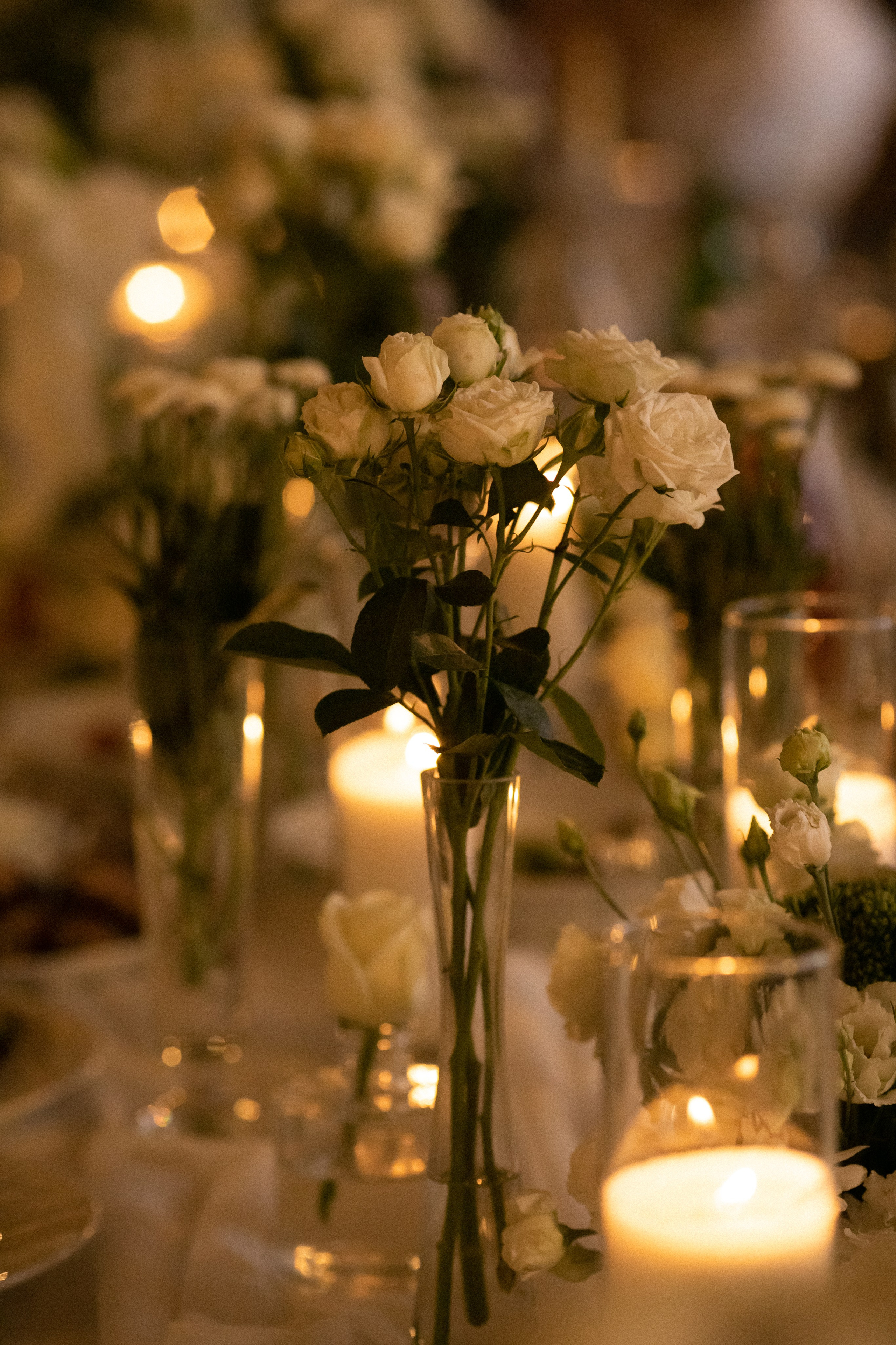 Фотограф Моздок, Пятигорск Кисловодск Владикавказ свадебный и семейный фотограф — Василина Батищева. Свадебный и семейный фотограф Василина Батищева в Моздоке, Северной Осетии и КМВ