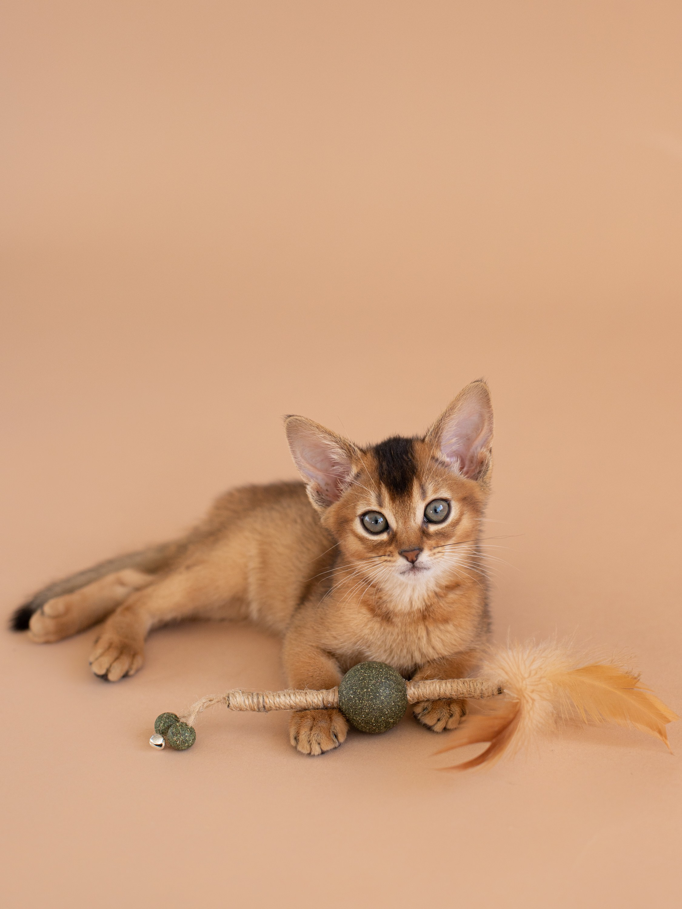 Маркетплейсы WB/OZON/Яндекс Маркет. Свадебный фотограф Москва. Семейный фотограф. Предметная съемка, съемка одежды