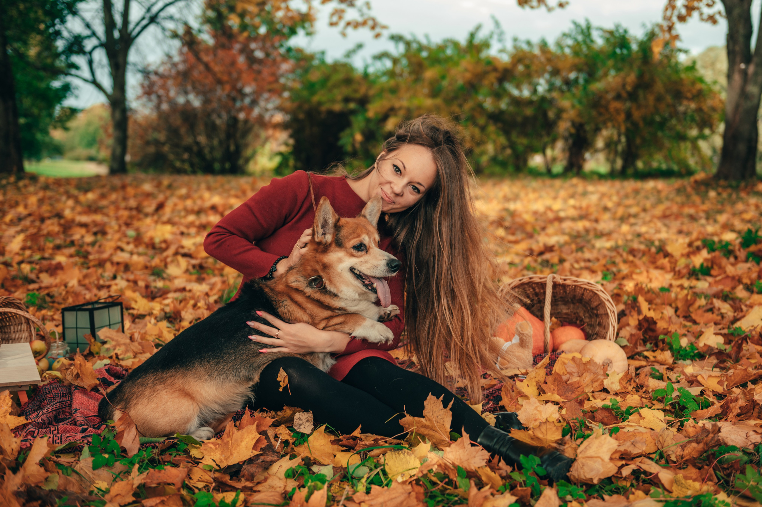 Дождь из листьев. Свадебный и семейный фотограф София Невская
