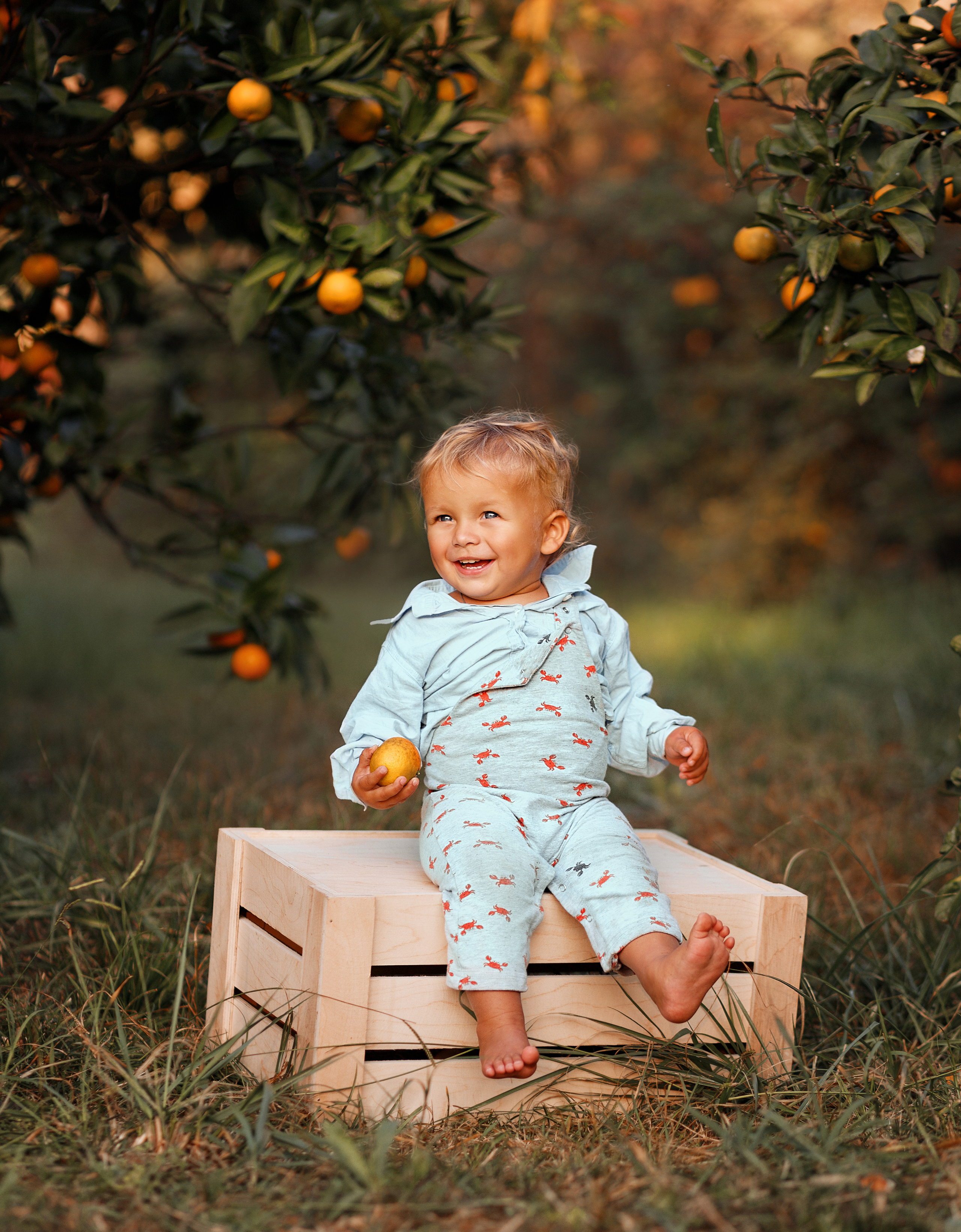 Мандаринки. Фотограф в Сочи Светлана Сарры