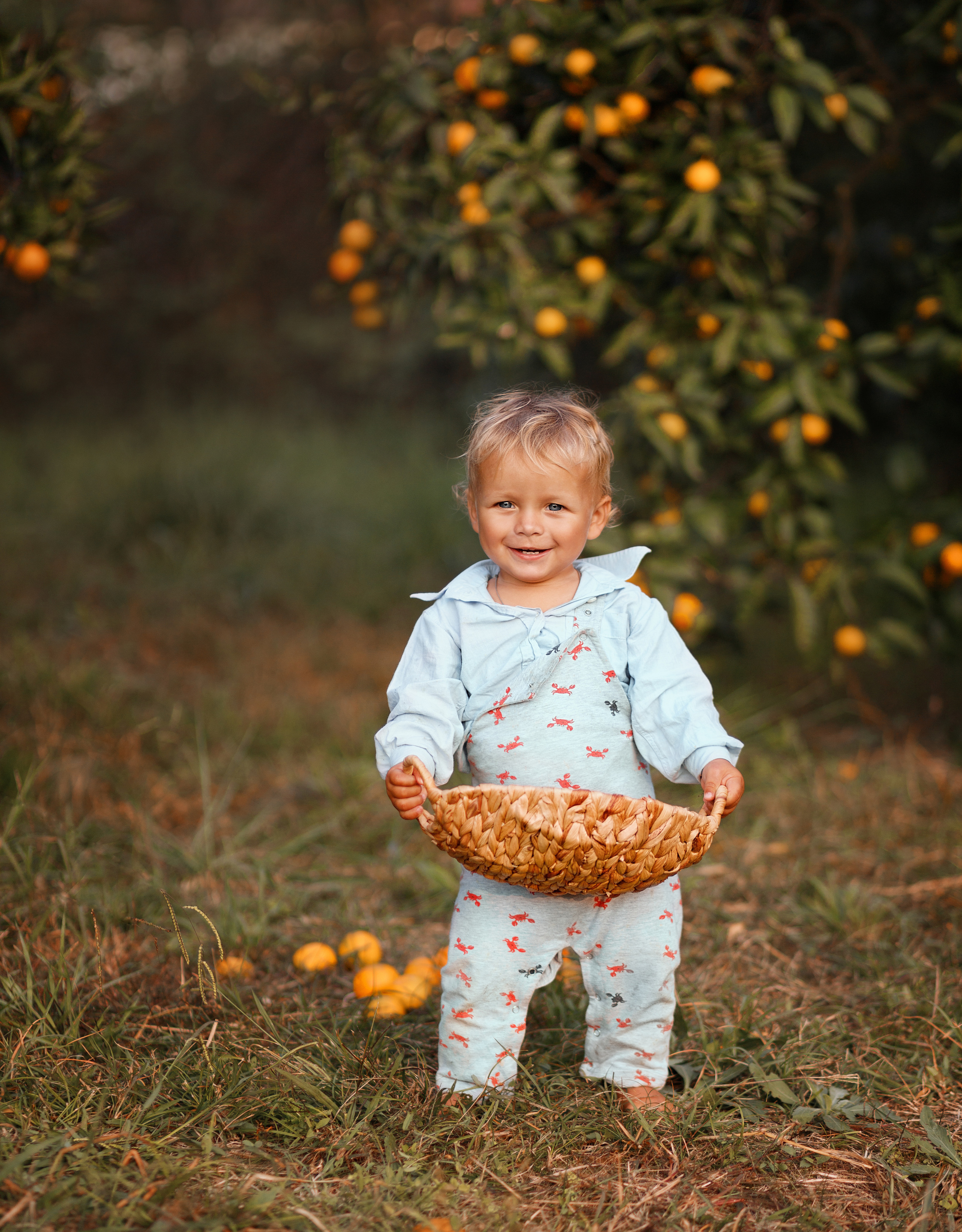 Мандаринки. Фотограф в Сочи Светлана Сарры