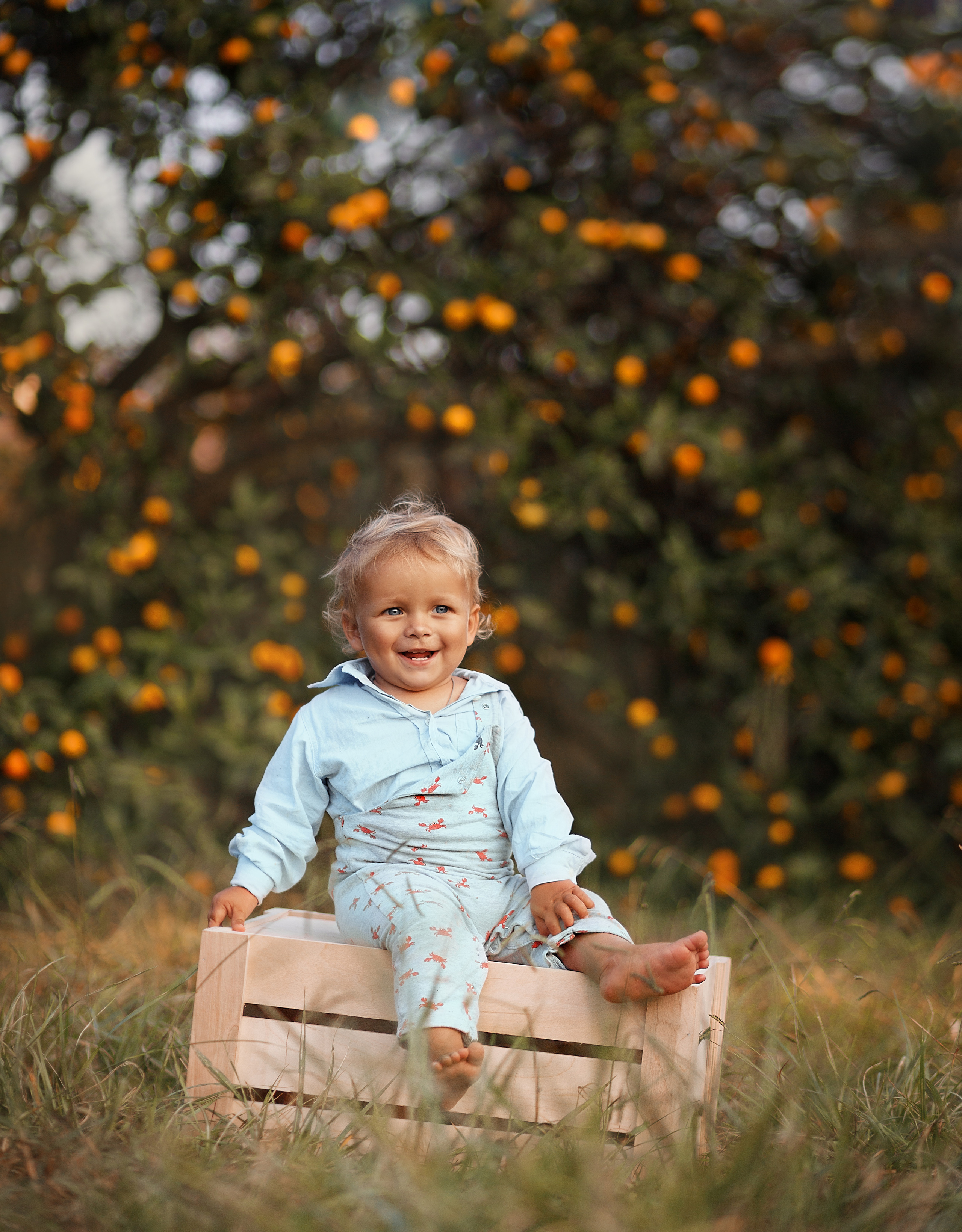 Мандаринки. Фотограф в Сочи Светлана Сарры