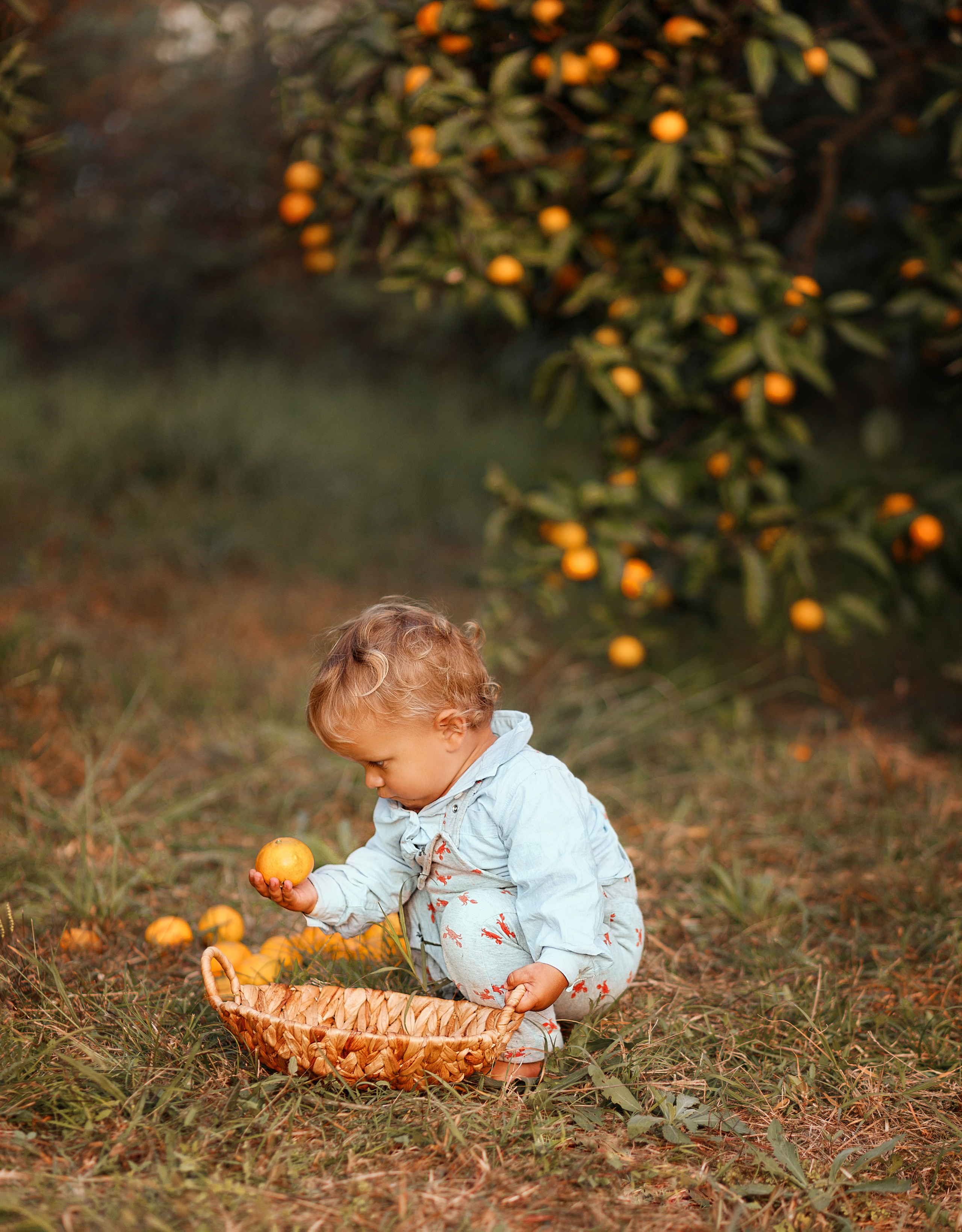 Мандаринки. Фотограф в Сочи Светлана Сарры