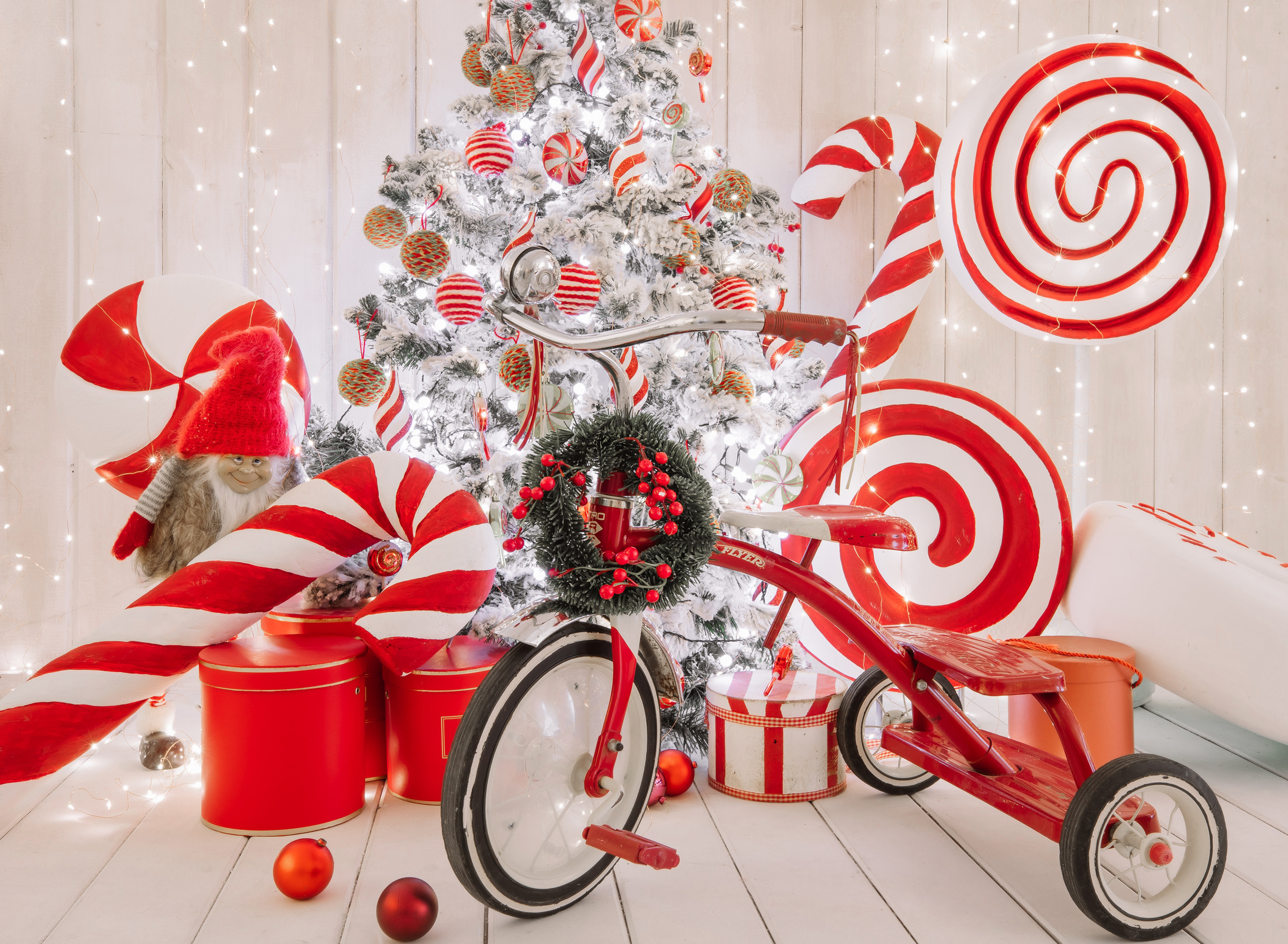 Студия Ash. Виктор Белик, Свадебный Фотограф Краснодар