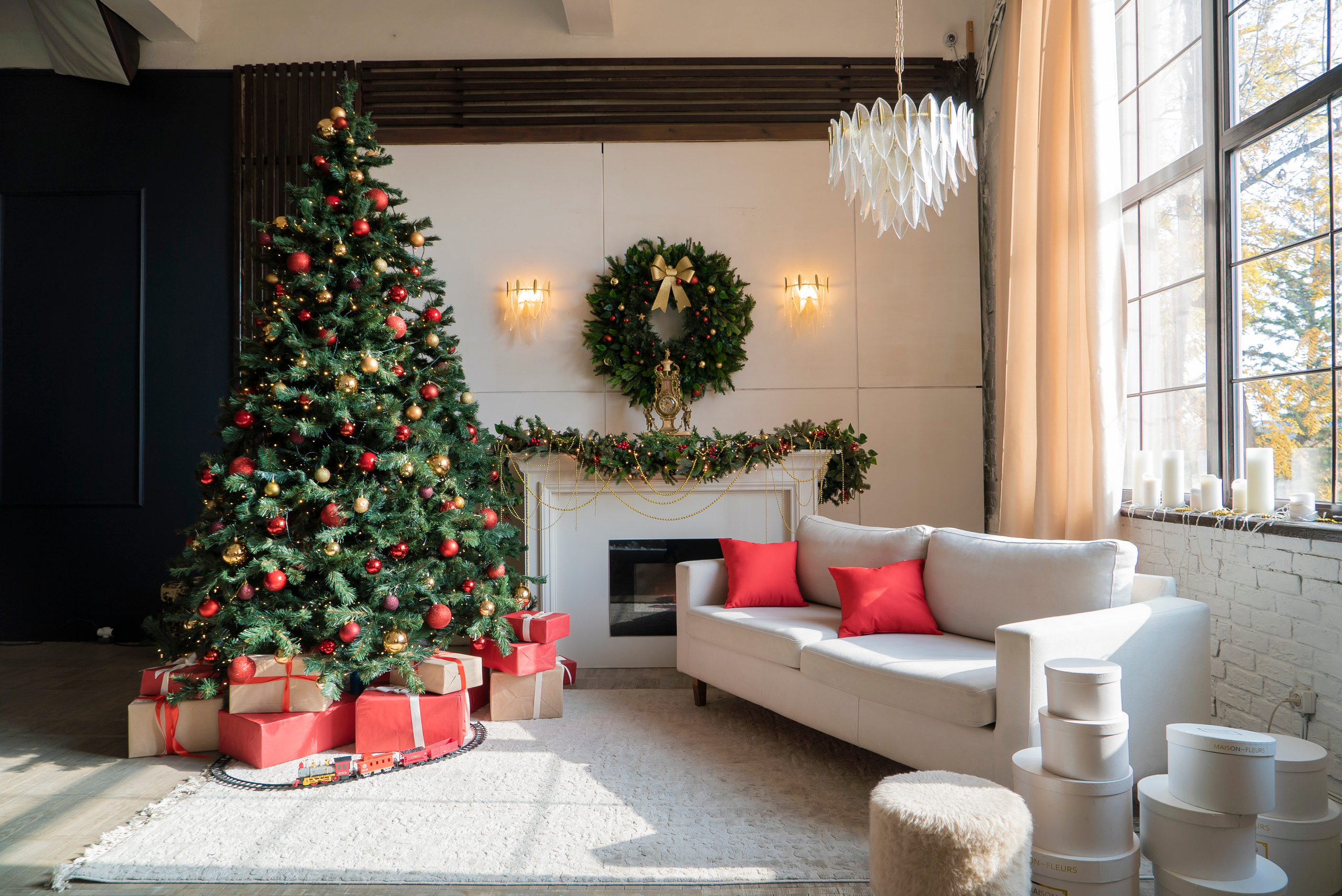 Студия Белый Осел