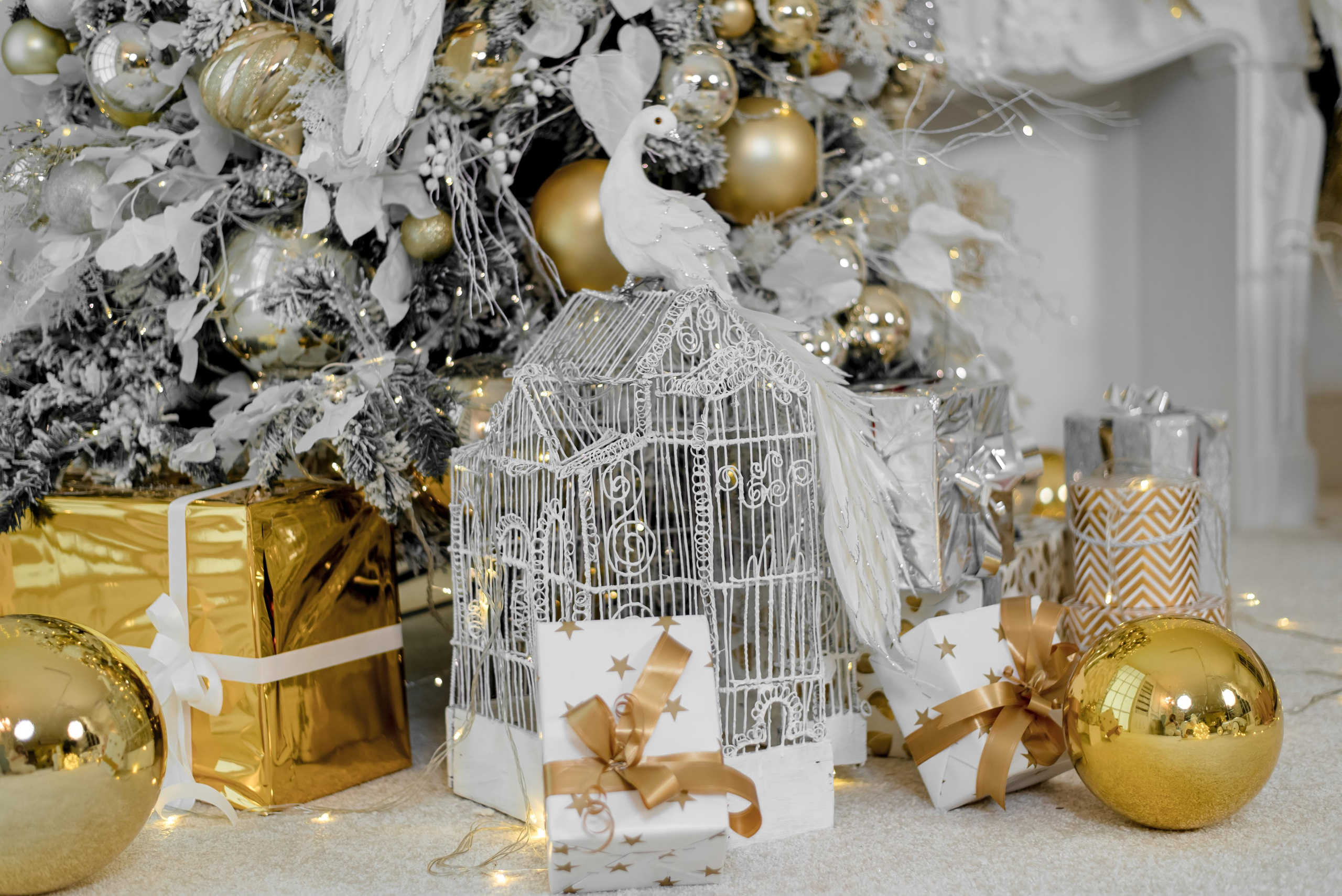 Студия Зазеркалье. Виктор Белик, Свадебный Фотограф Краснодар