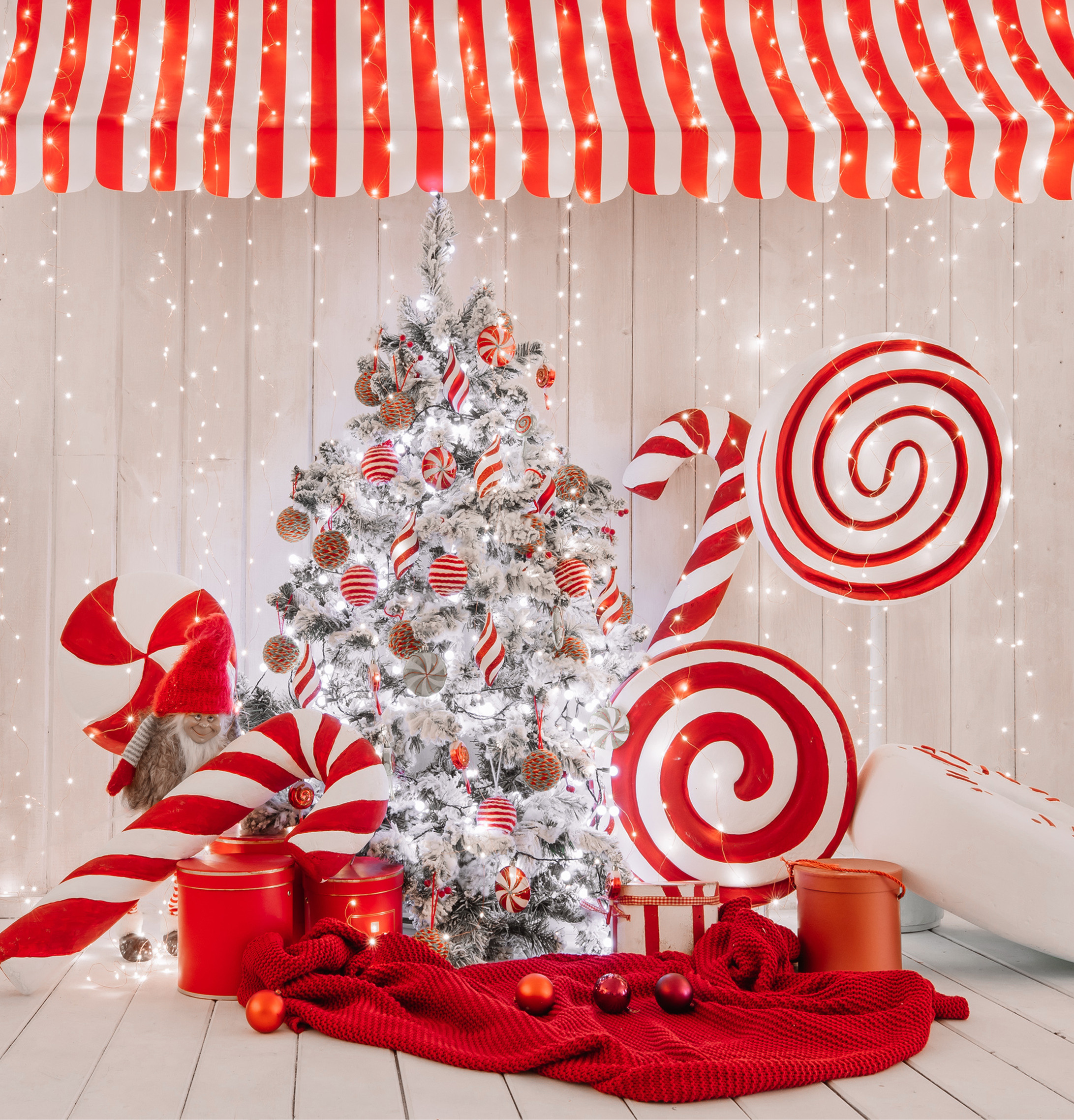 Студия Ash. Виктор Белик, Свадебный Фотограф Краснодар