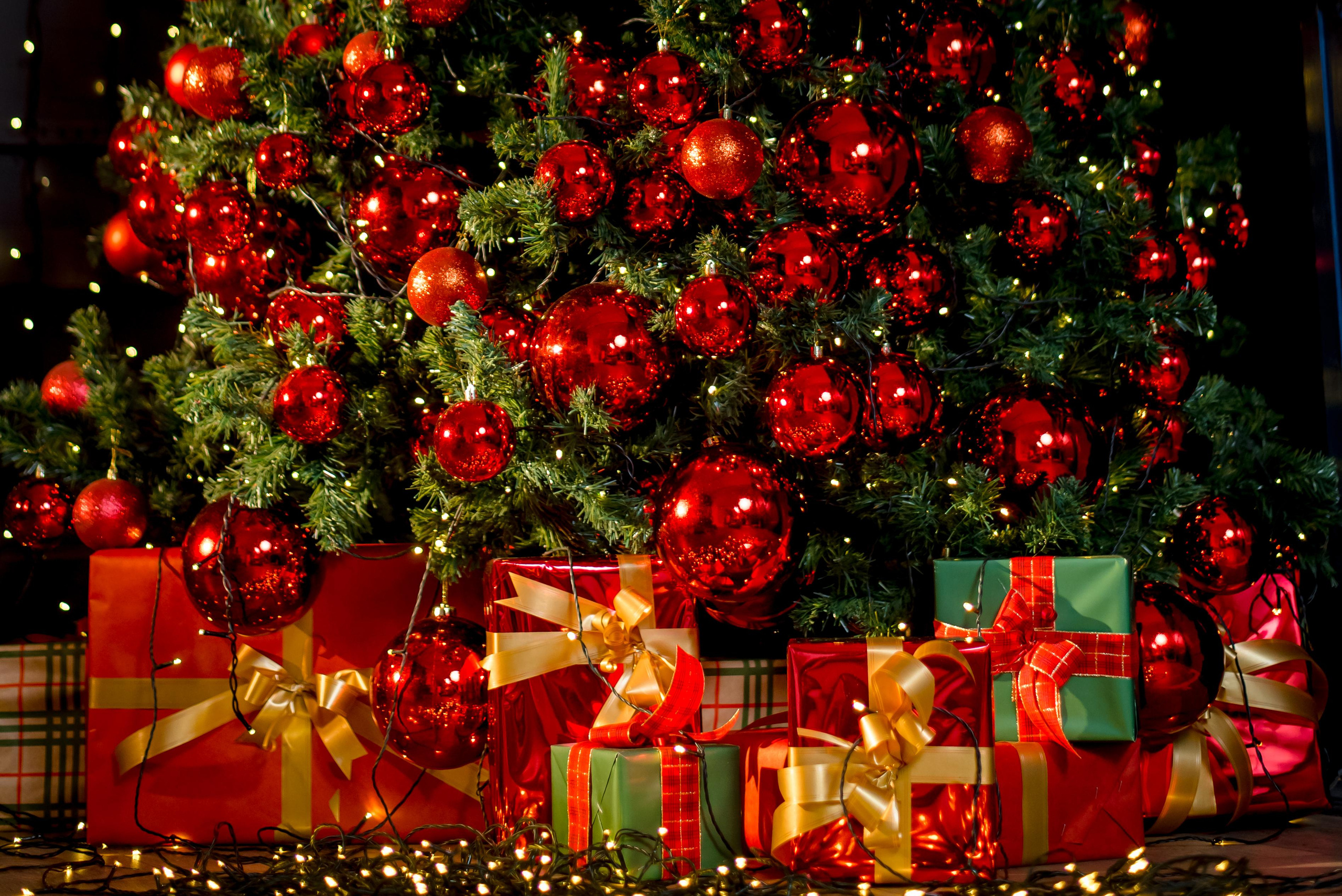 Студия Зазеркалье. Виктор Белик, Свадебный Фотограф Краснодар