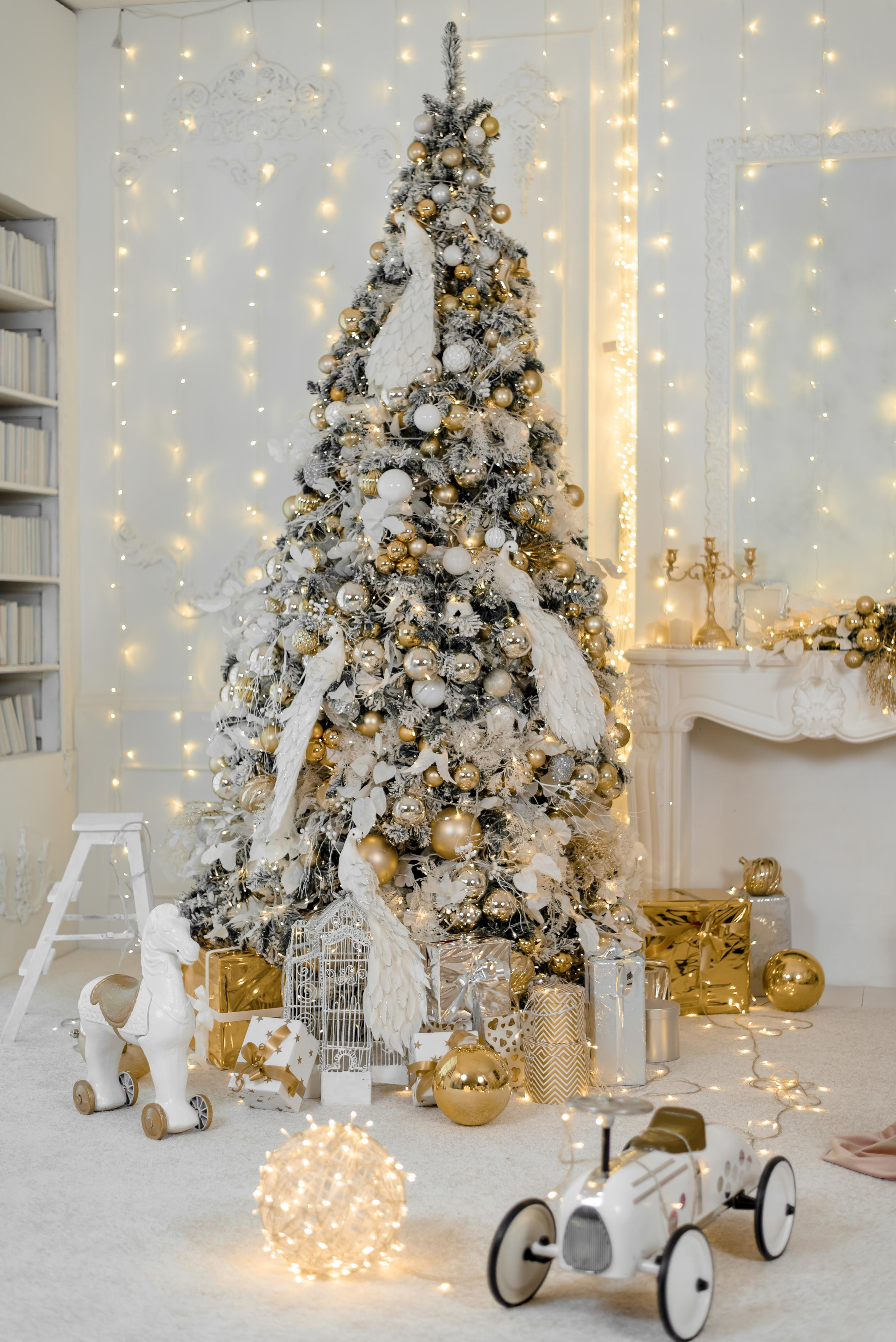 Студия Зазеркалье. Виктор Белик, Свадебный Фотограф Краснодар