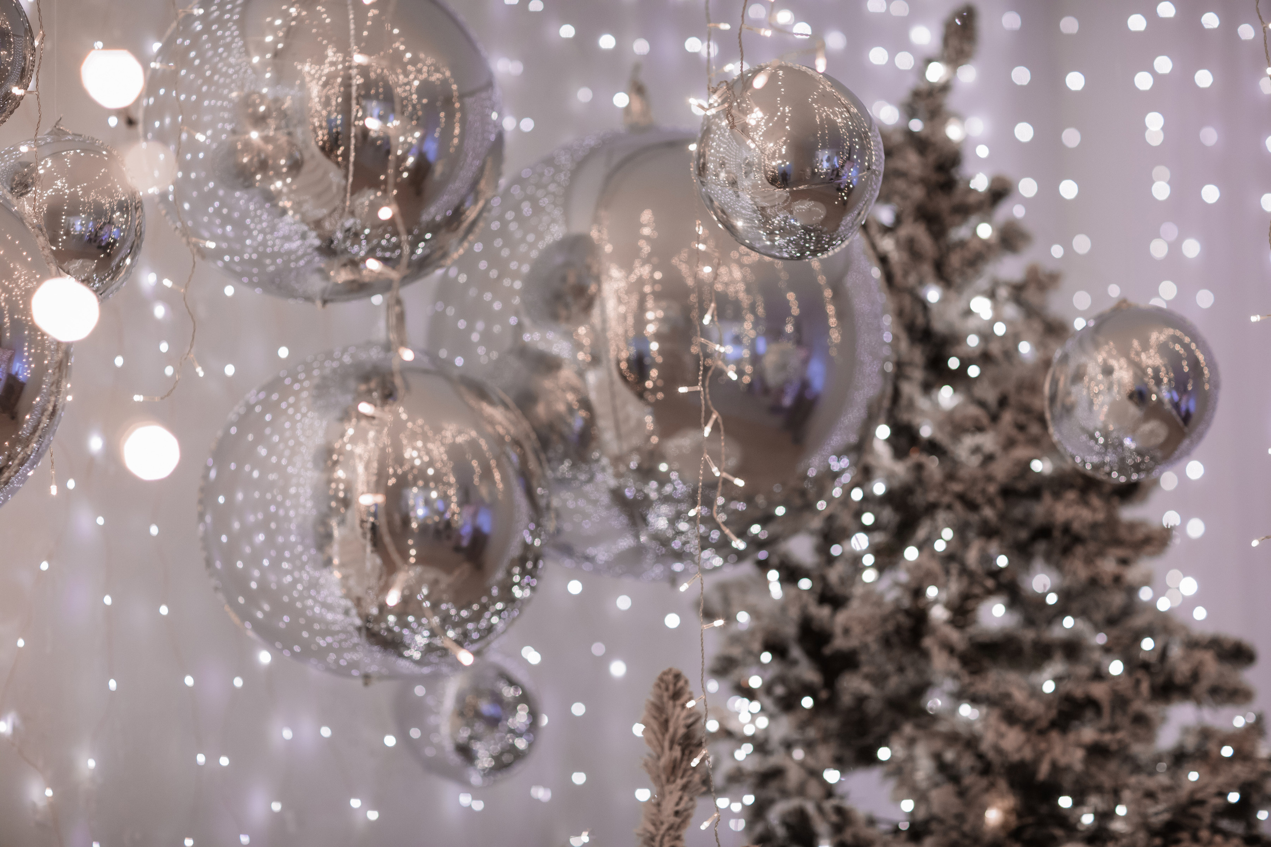 Студия Ash. Виктор Белик, Свадебный Фотограф Краснодар