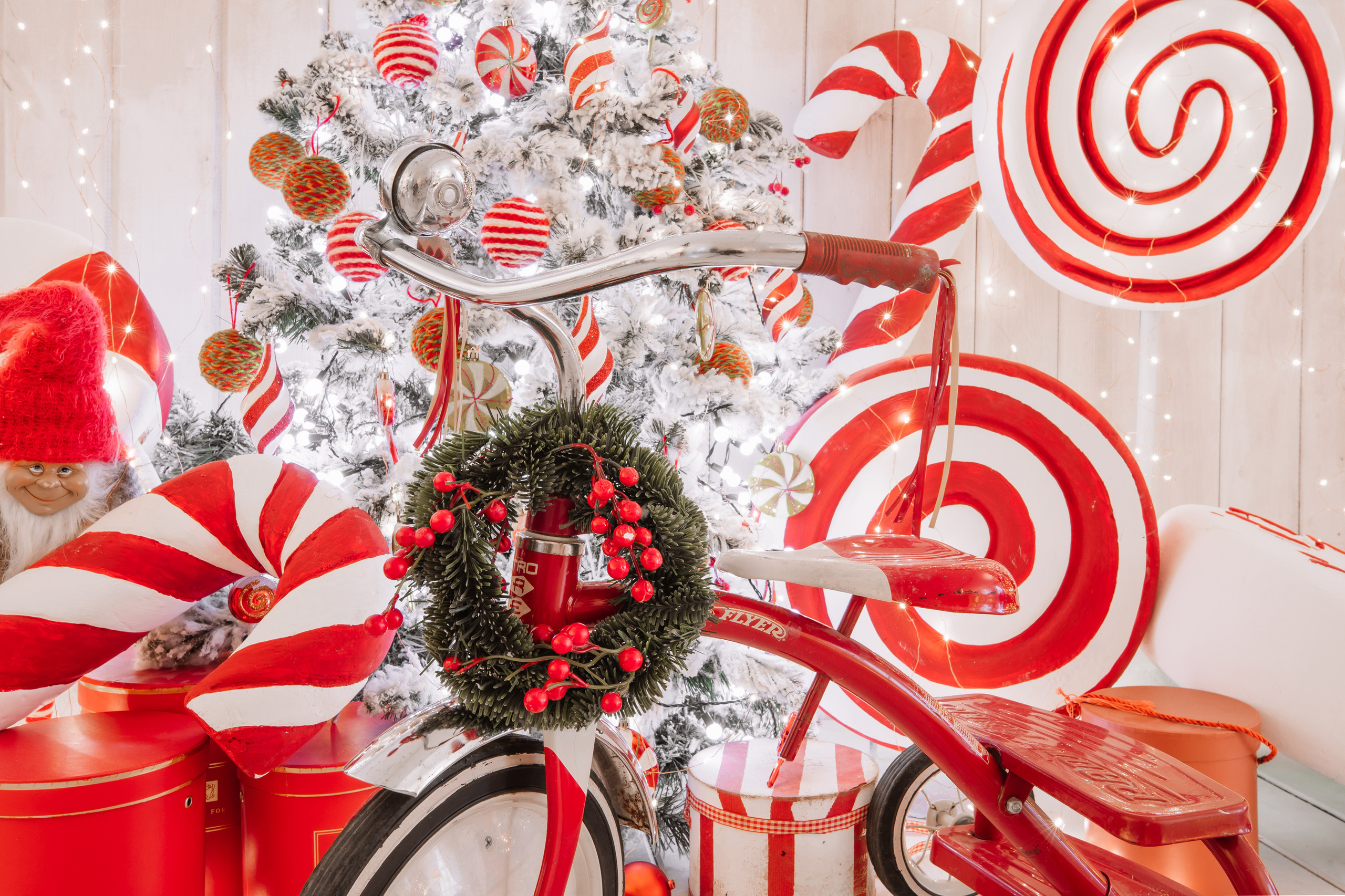 Студия Ash. Виктор Белик, Свадебный Фотограф Краснодар