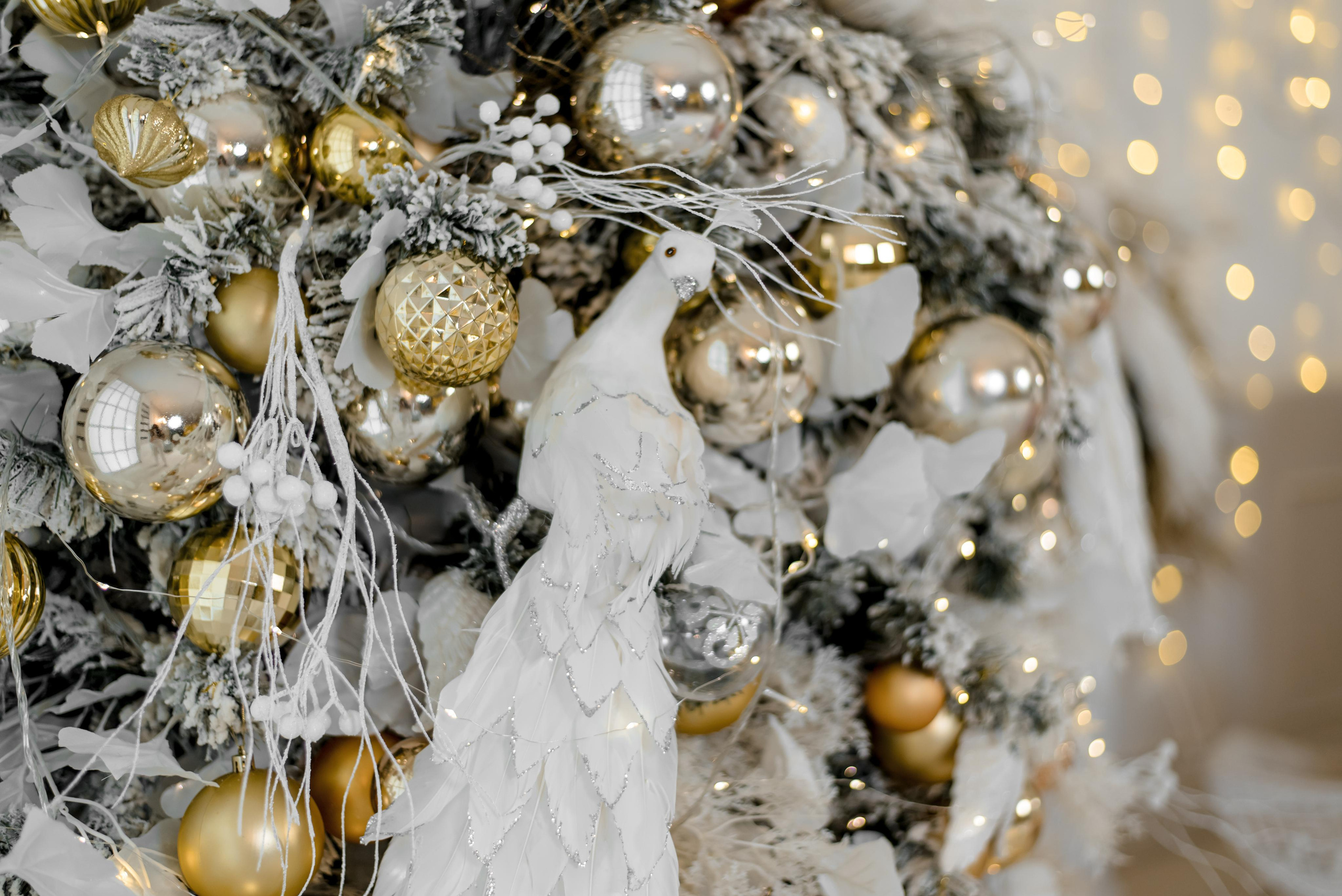 Студия Зазеркалье. Виктор Белик, Свадебный Фотограф Краснодар