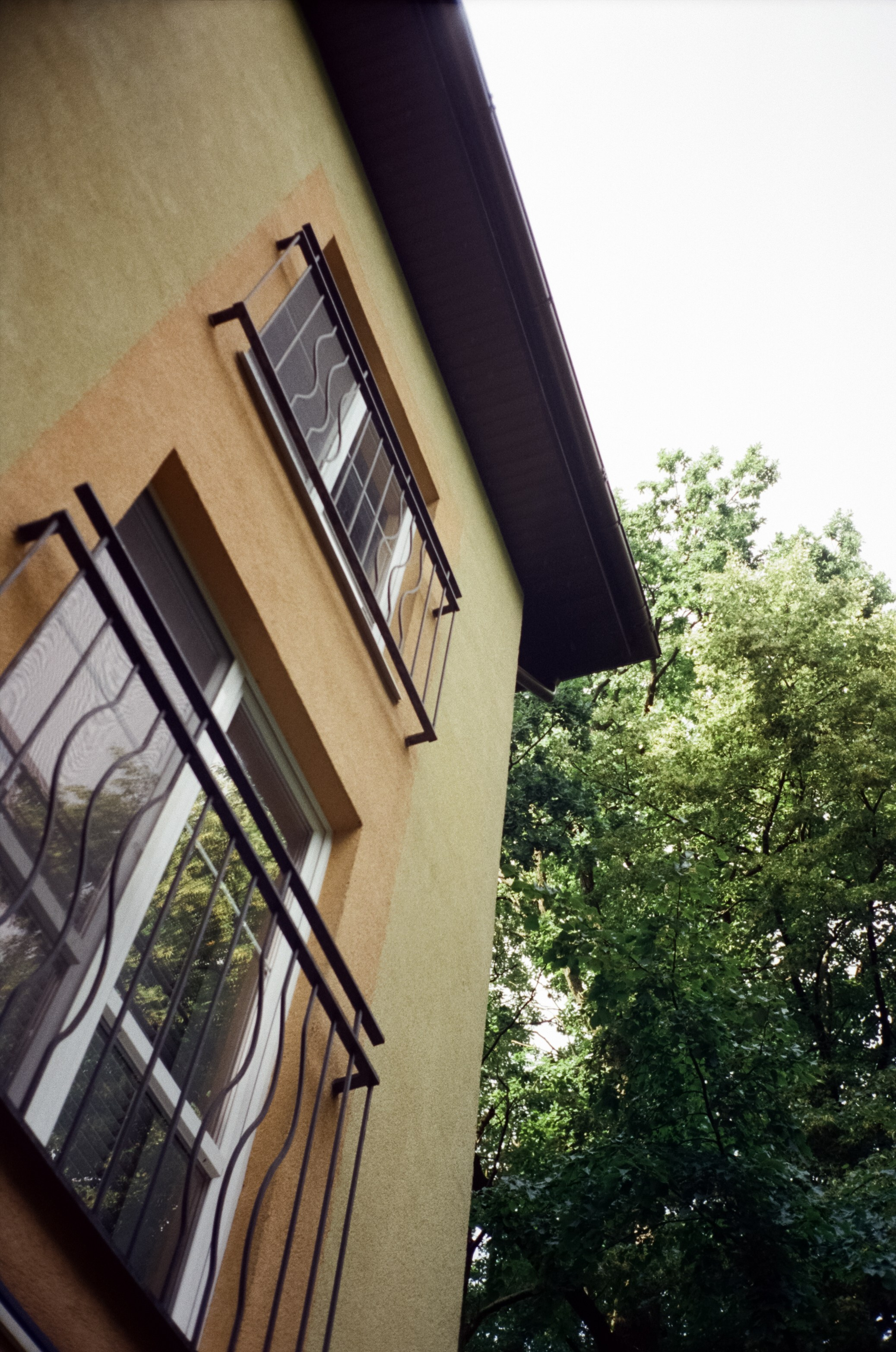 Остров Канта и Кафедральный Собор. Фотограф-документалист Мария Осокина