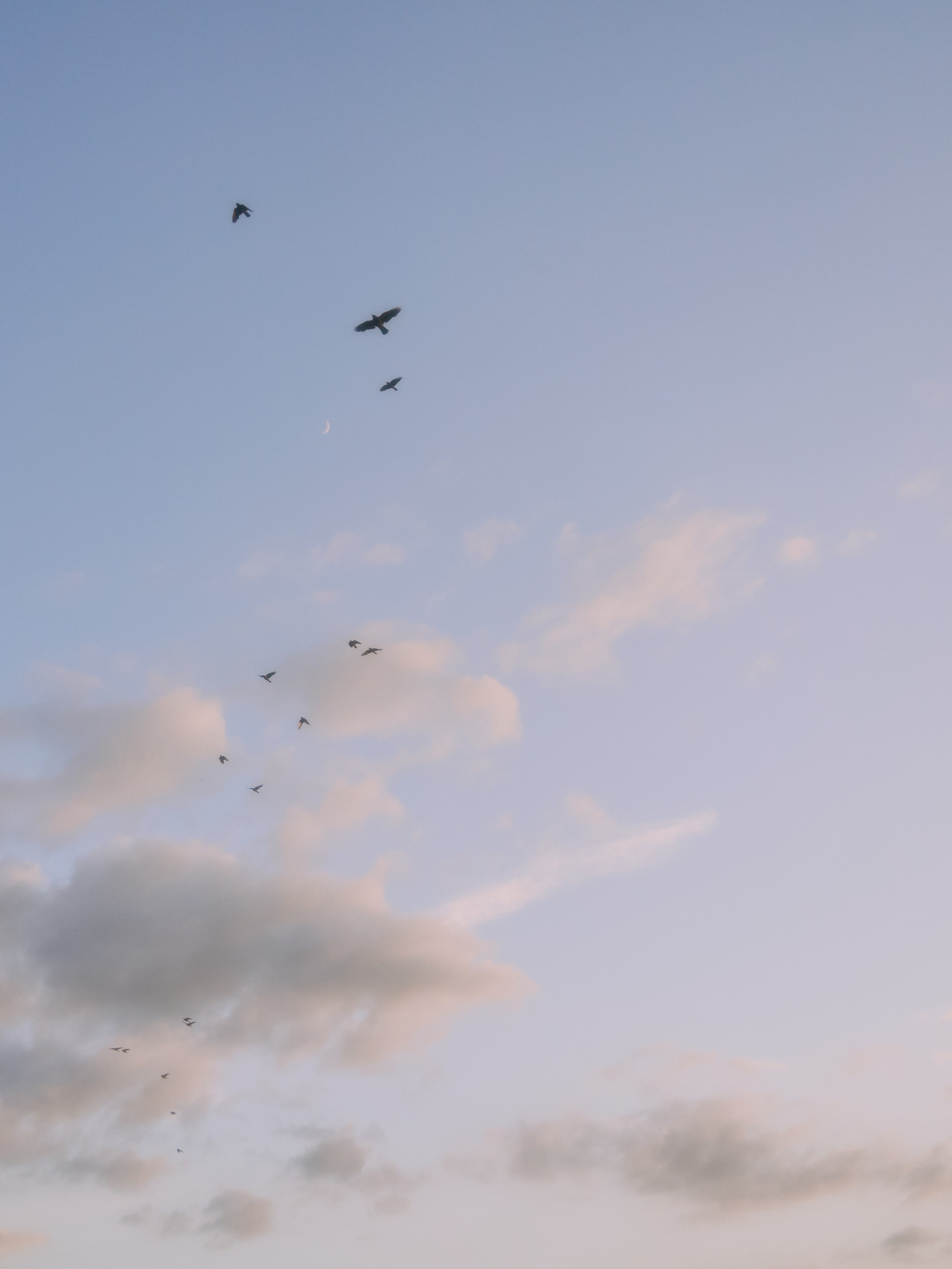 SILENT SKY. Юля Ф