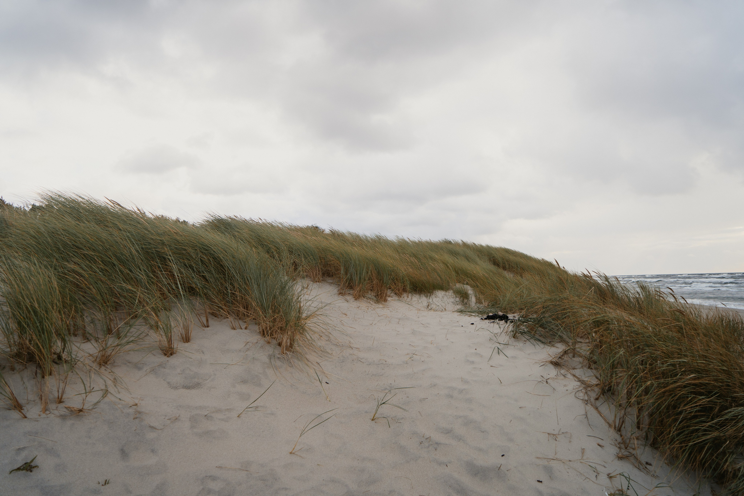 Балтийск/Калининград. Свадебный и семейный фотограф/видеограф в Краснодаре Наталья Осинская