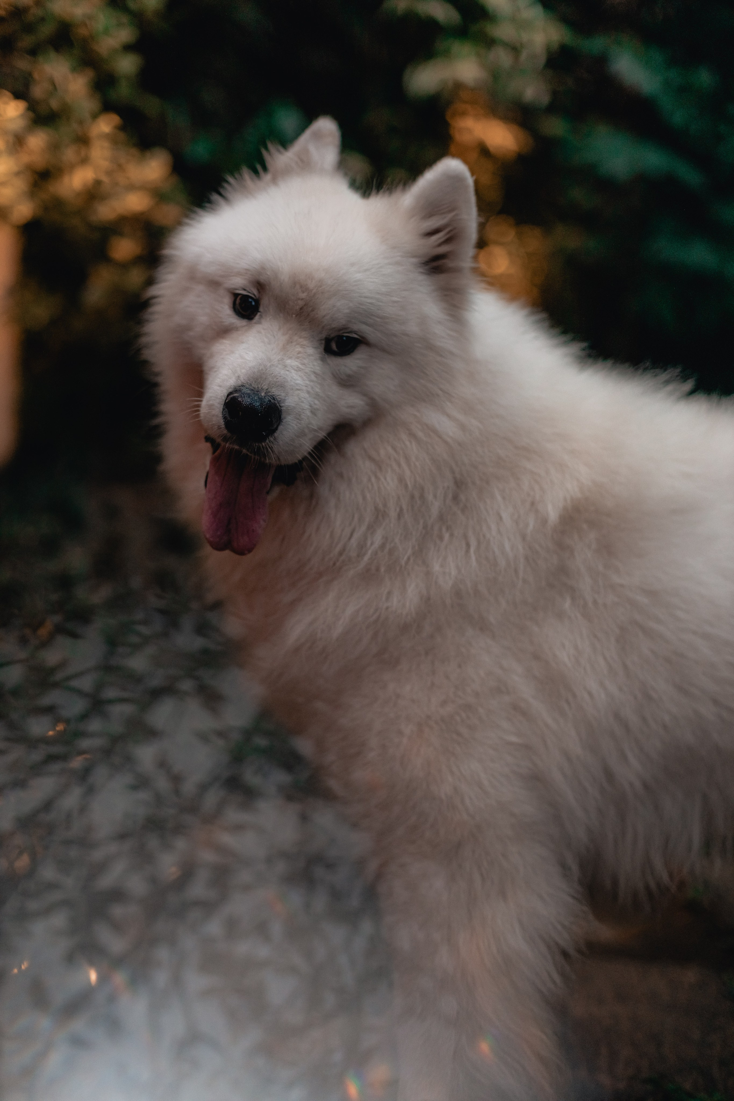 Yanas Handpan concert at Zest. Mariam Bagdasaryan