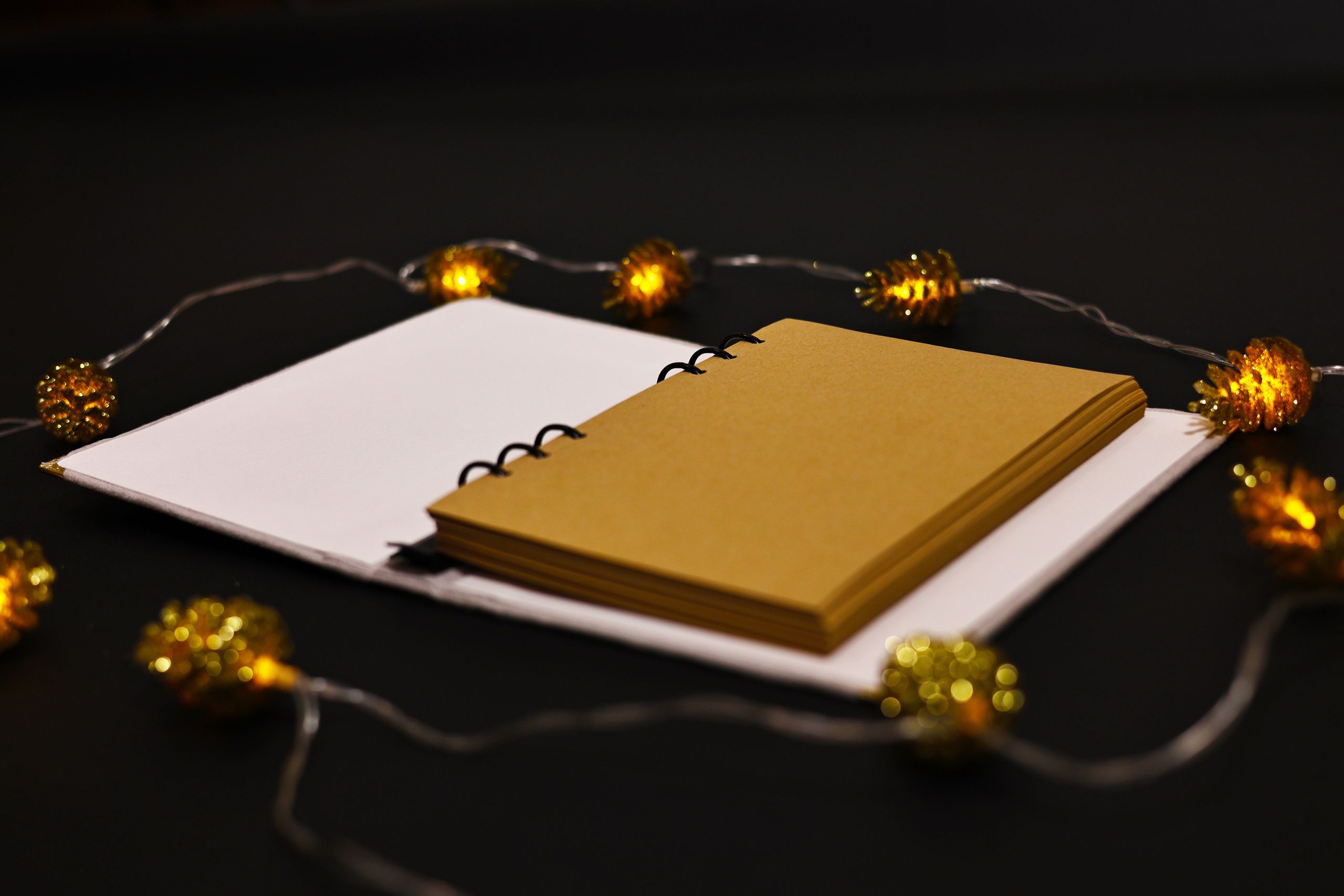 ⭐Ежедневники ручной работы. Фотограф | Видеограф в Кургане, Тюмени и Челябинске