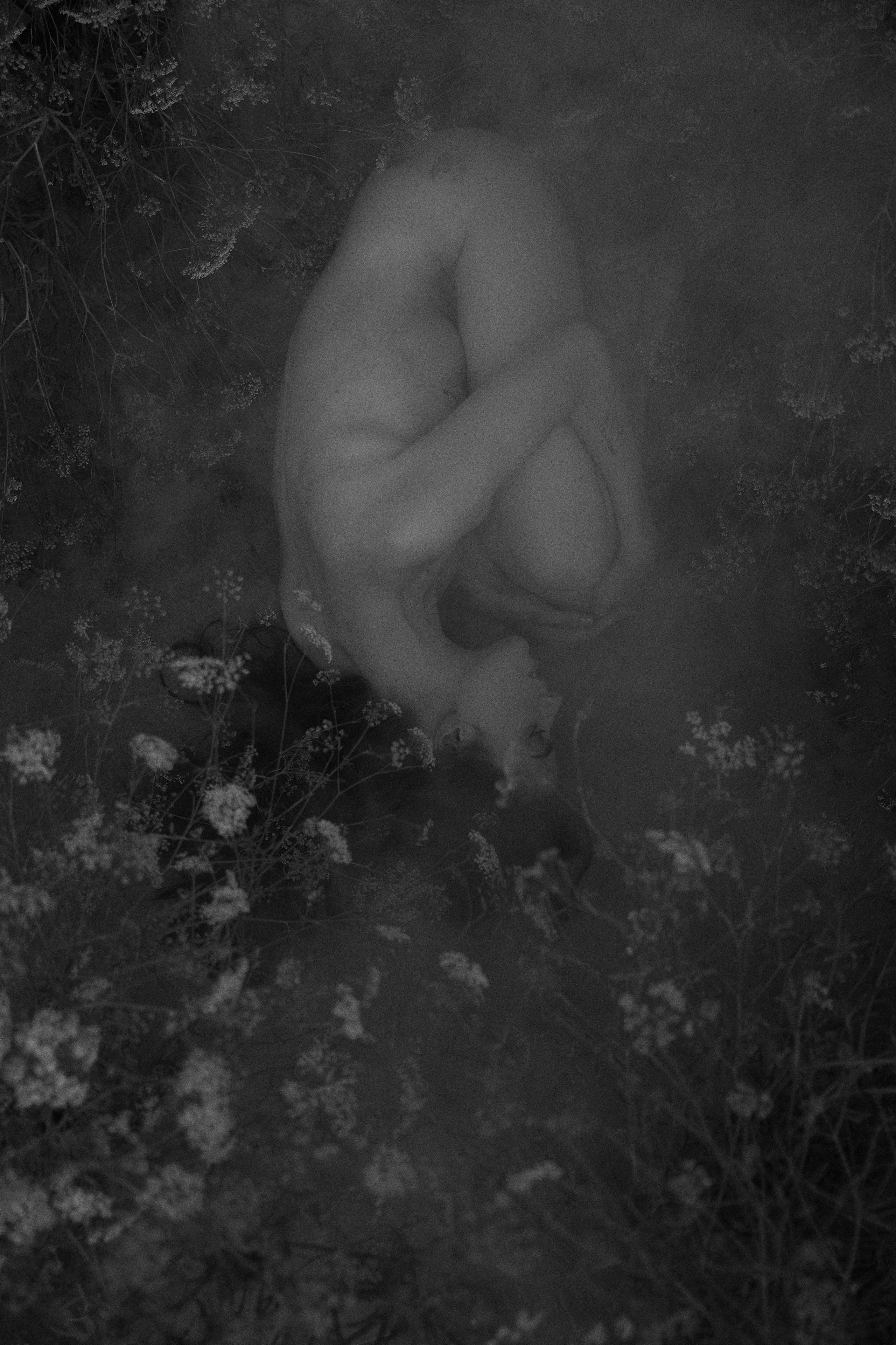 ОКСАНА. Пушистая Сова - Свадебный и портретный фотограф Воронеж, Москва, Питер