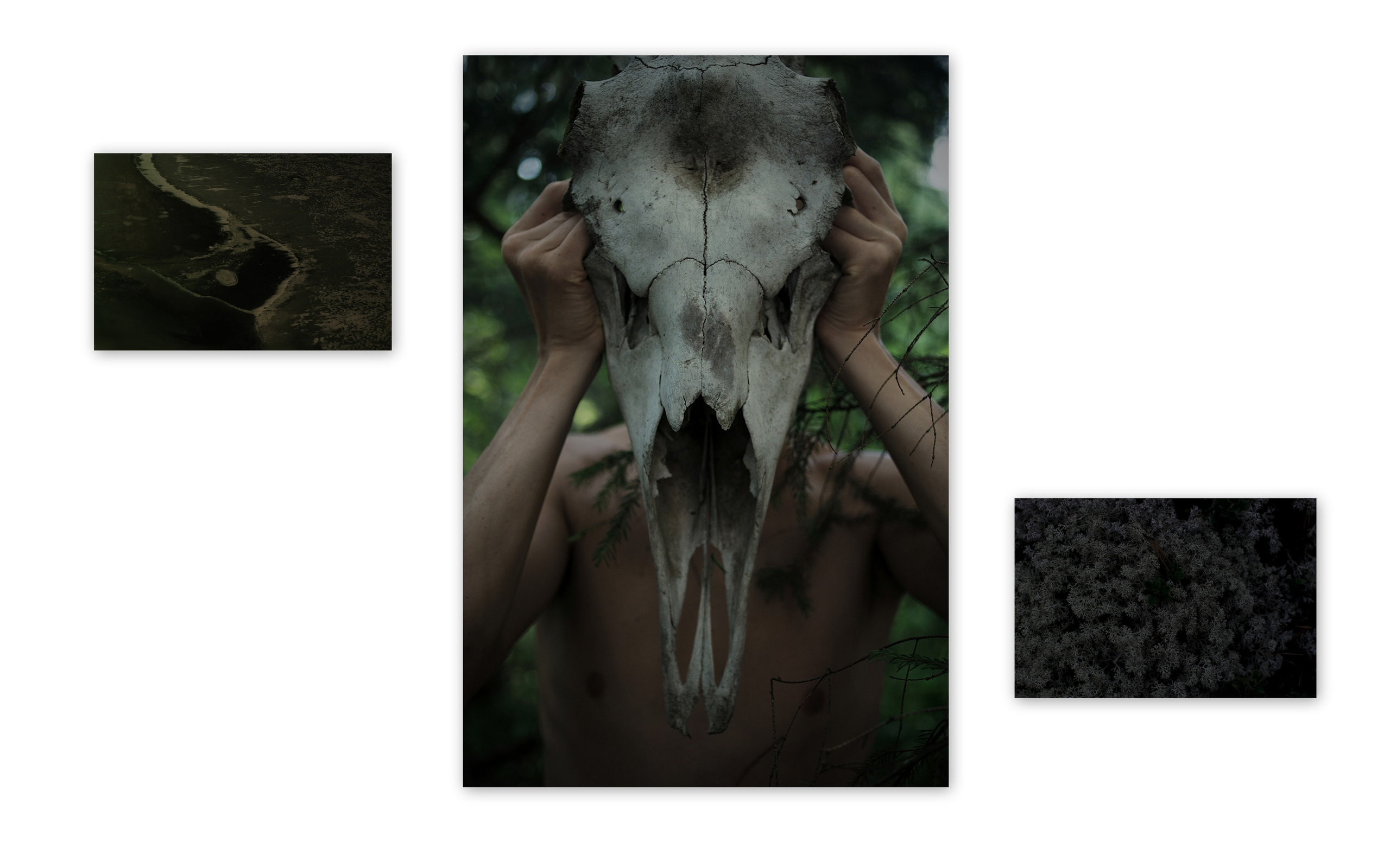 Дмитрий Ермаков Персональная высатавка