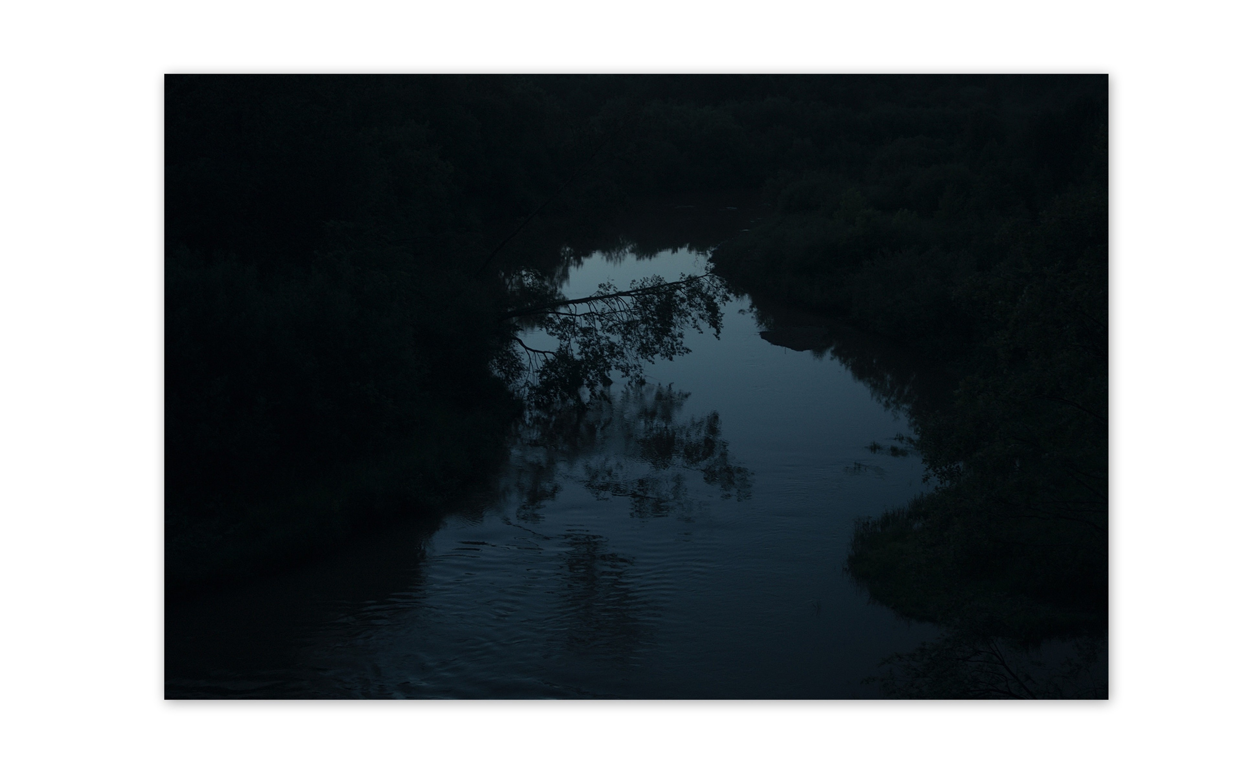 Дмитрий Ермаков Персональная высатавка