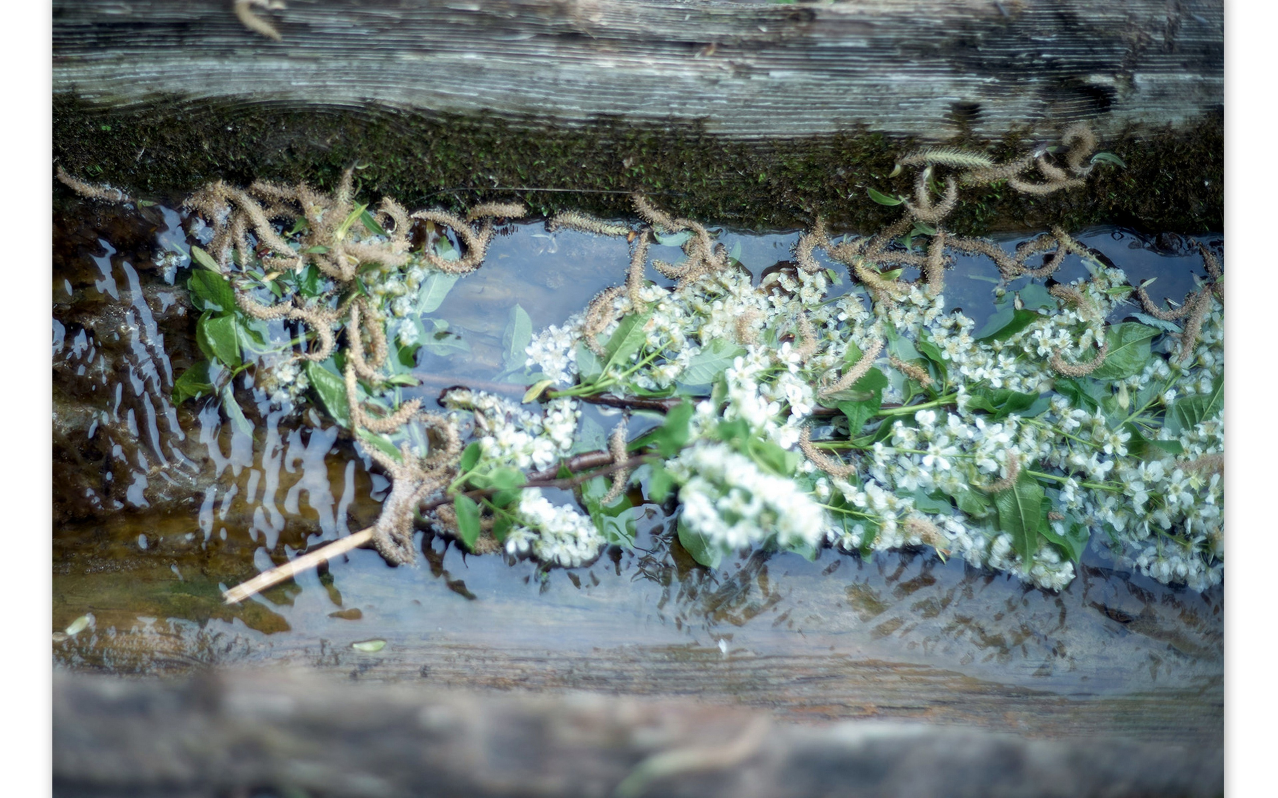 Дмитрий Ермаков Персональная высатавка