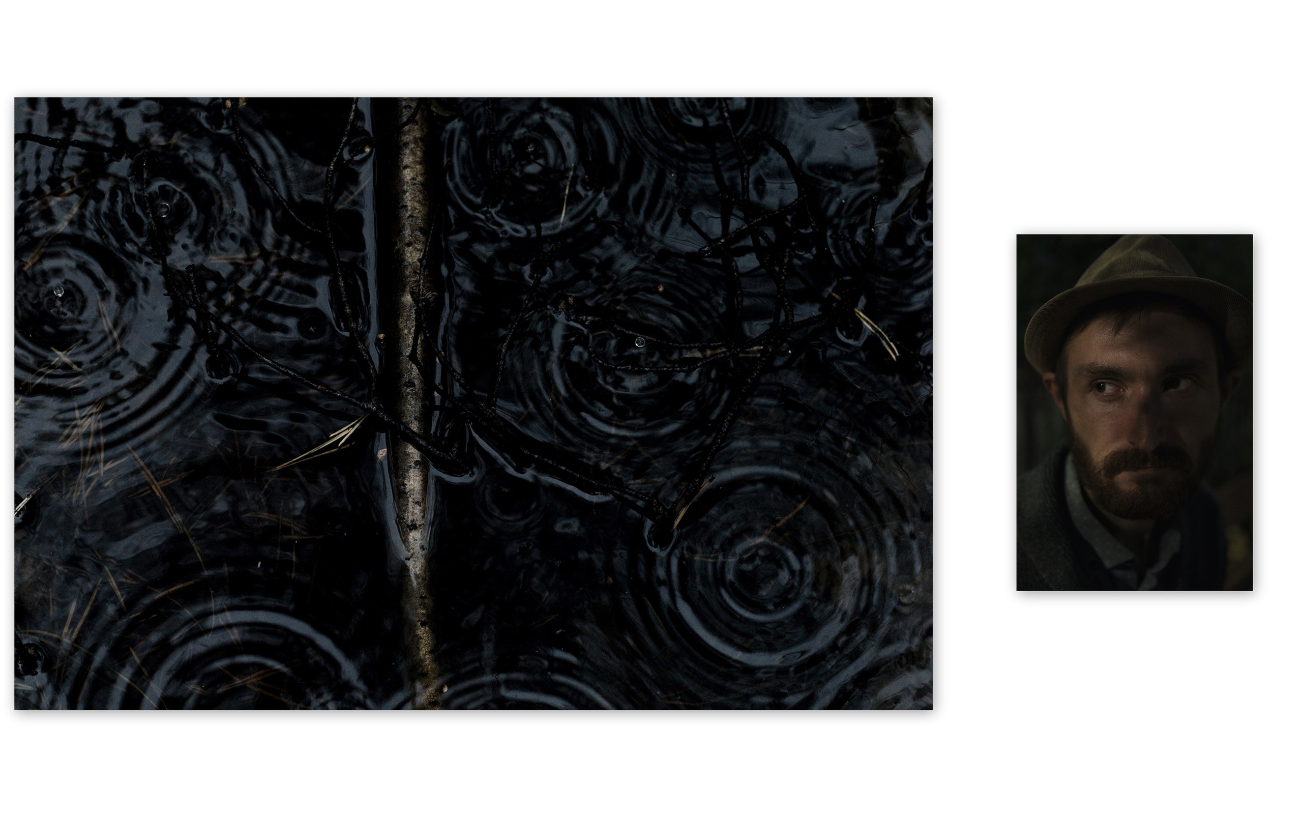 Дмитрий Ермаков Персональная высатавка